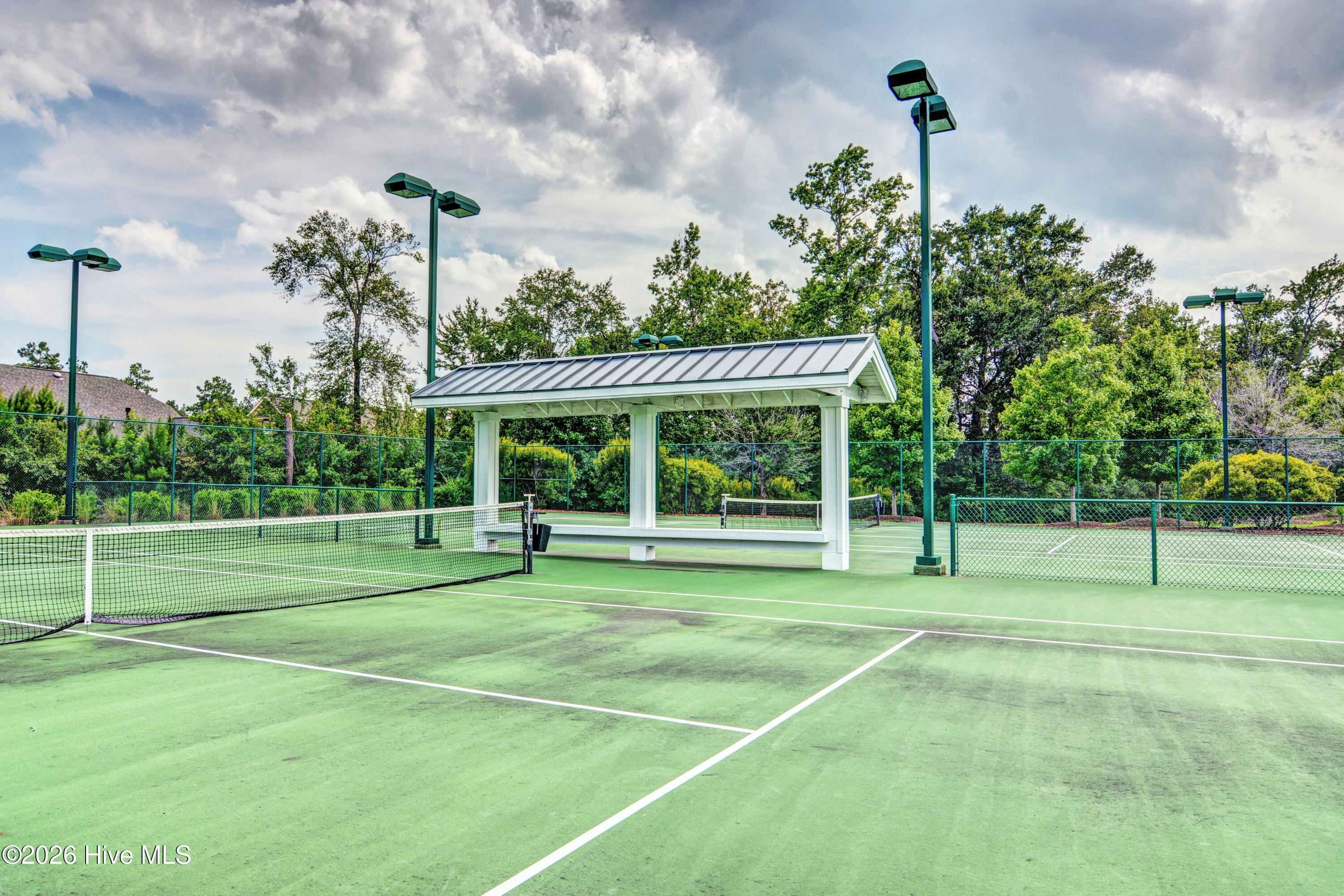 100548554 | Photo 40