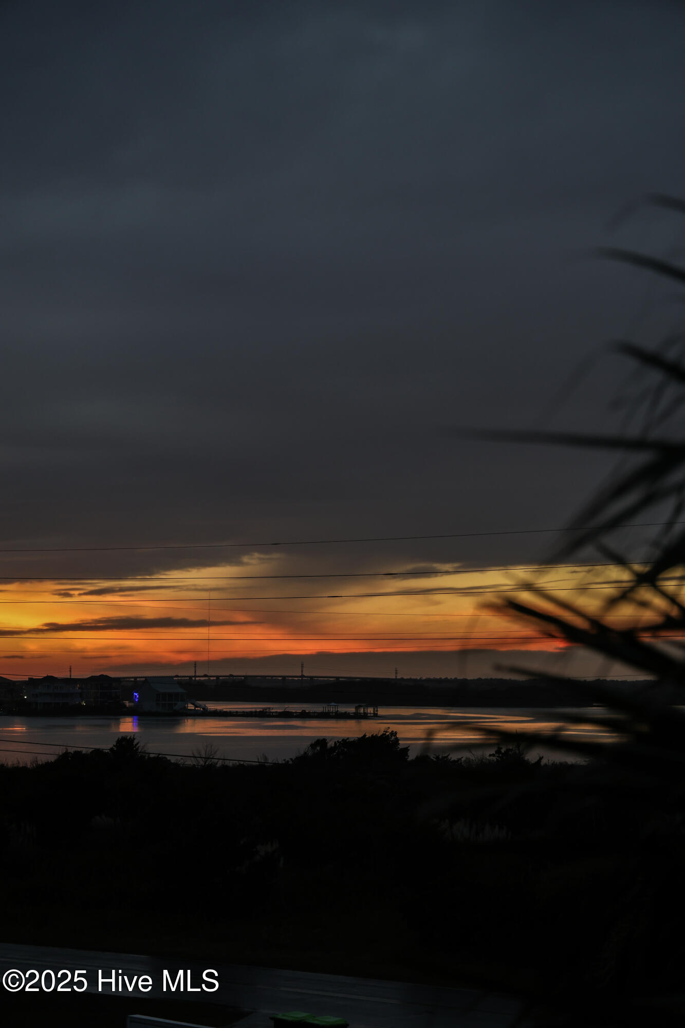 100530467 | Photo 35