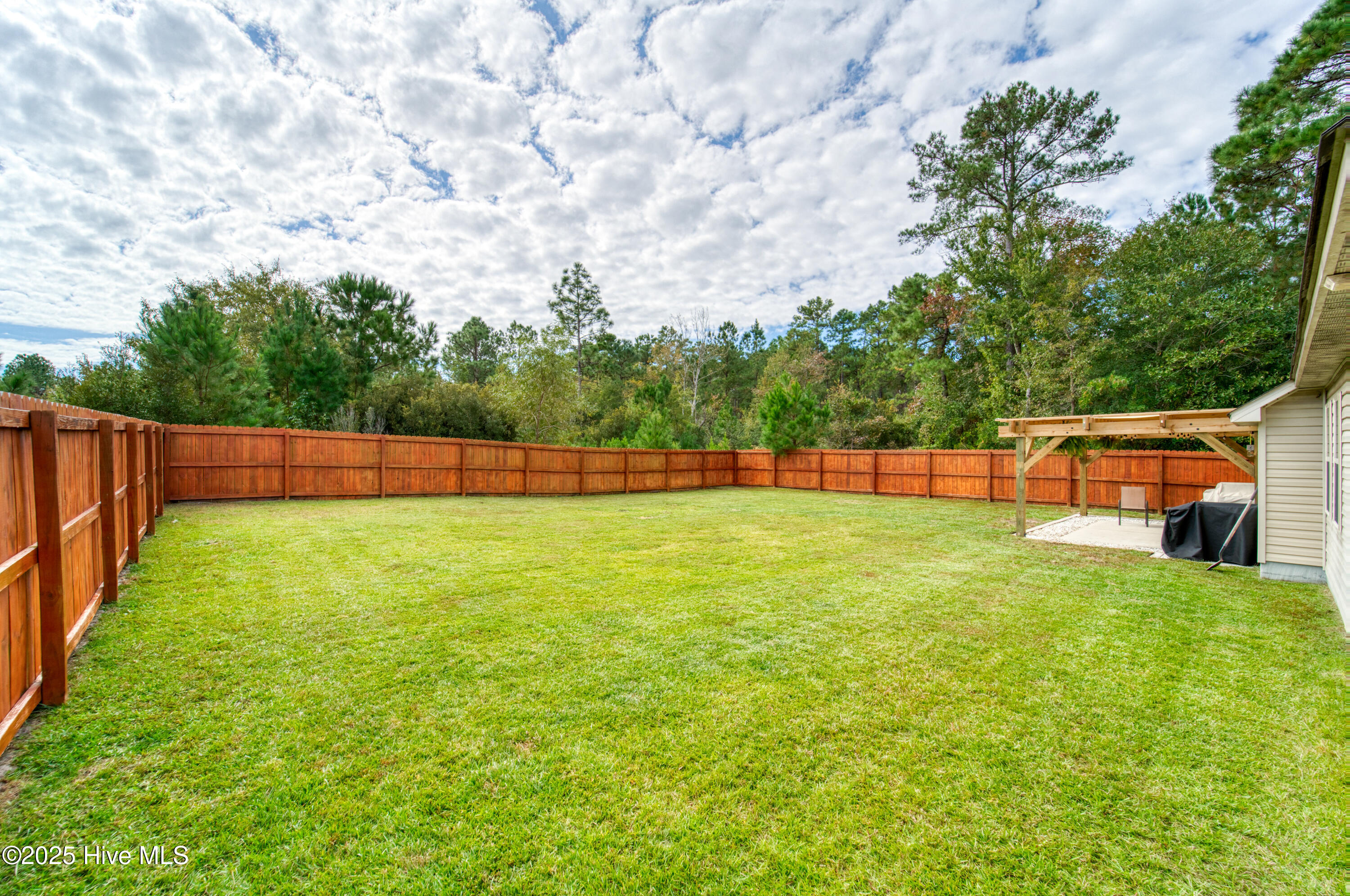 100538677 | Photo 16