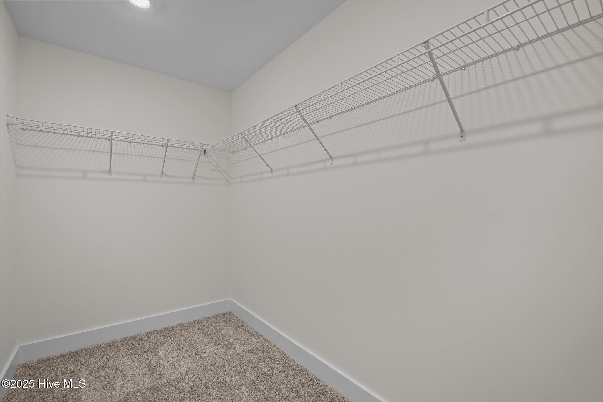 100546392 | Photo 16