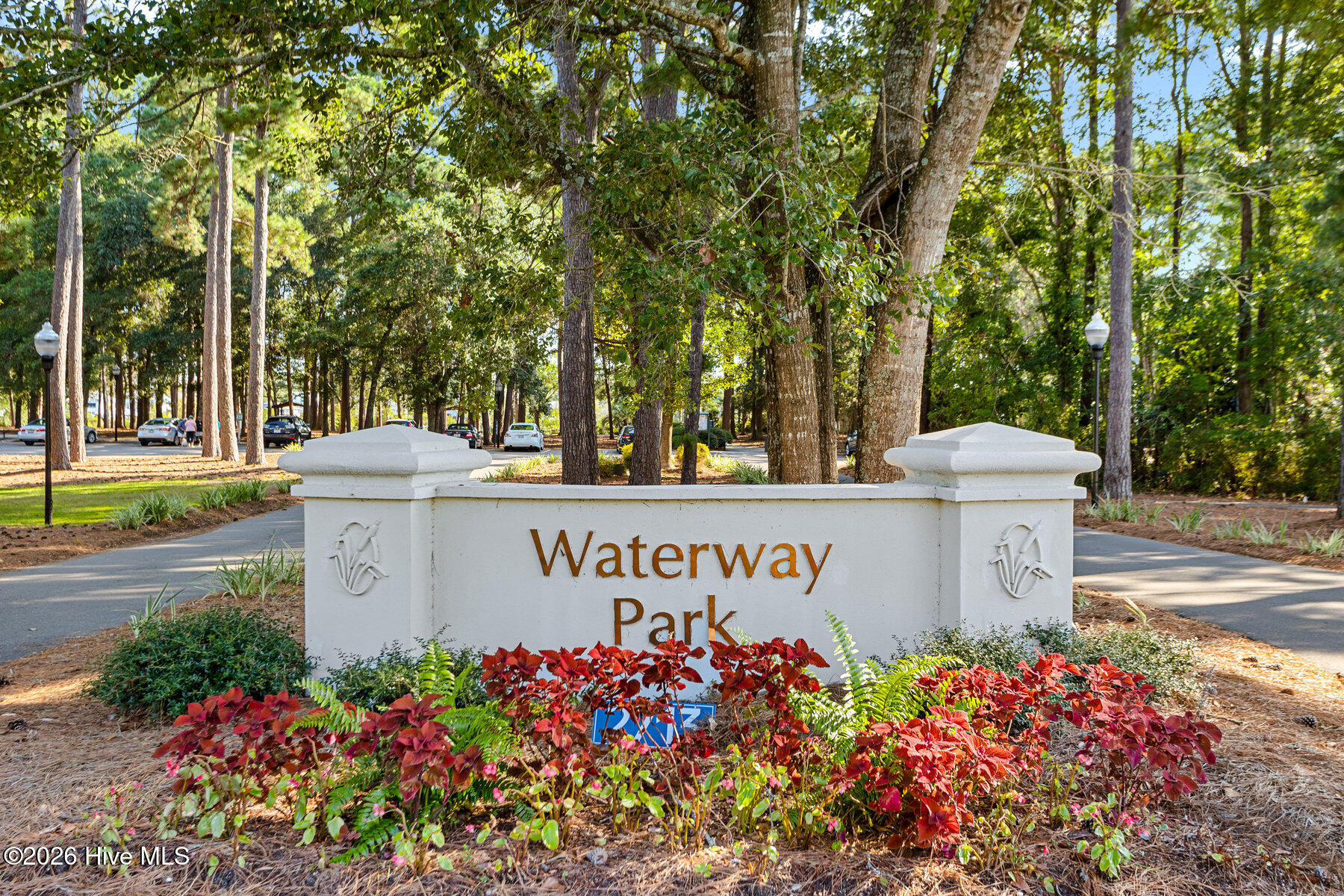 100558042 | Photo 108