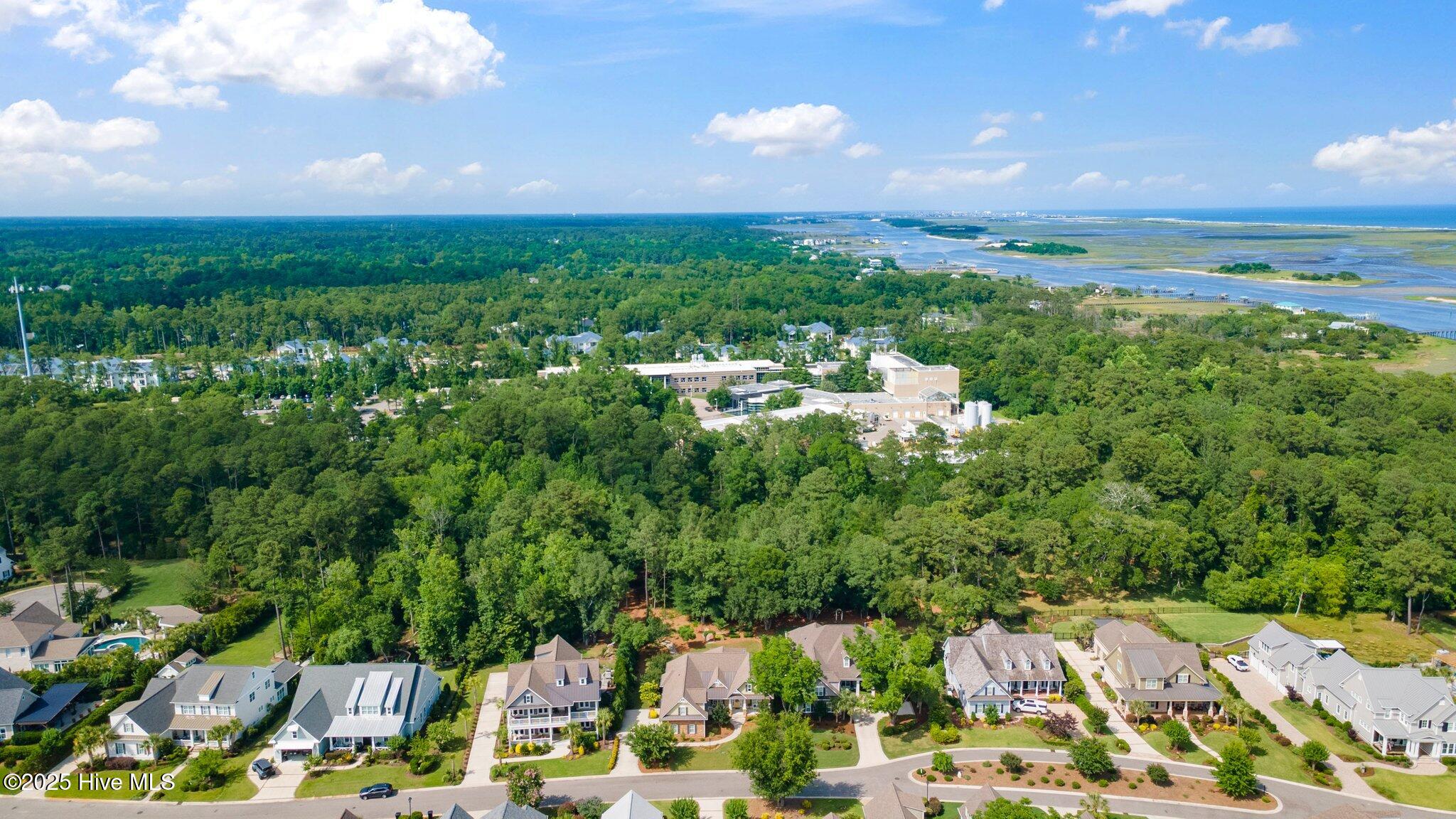 100508421 | Photo 90