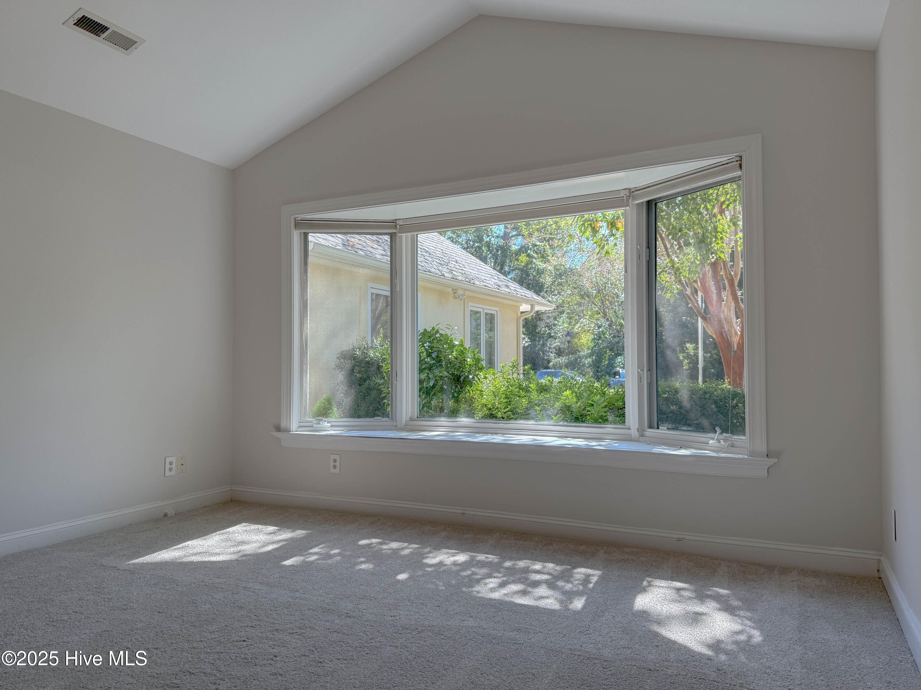 100535071 | Photo 34