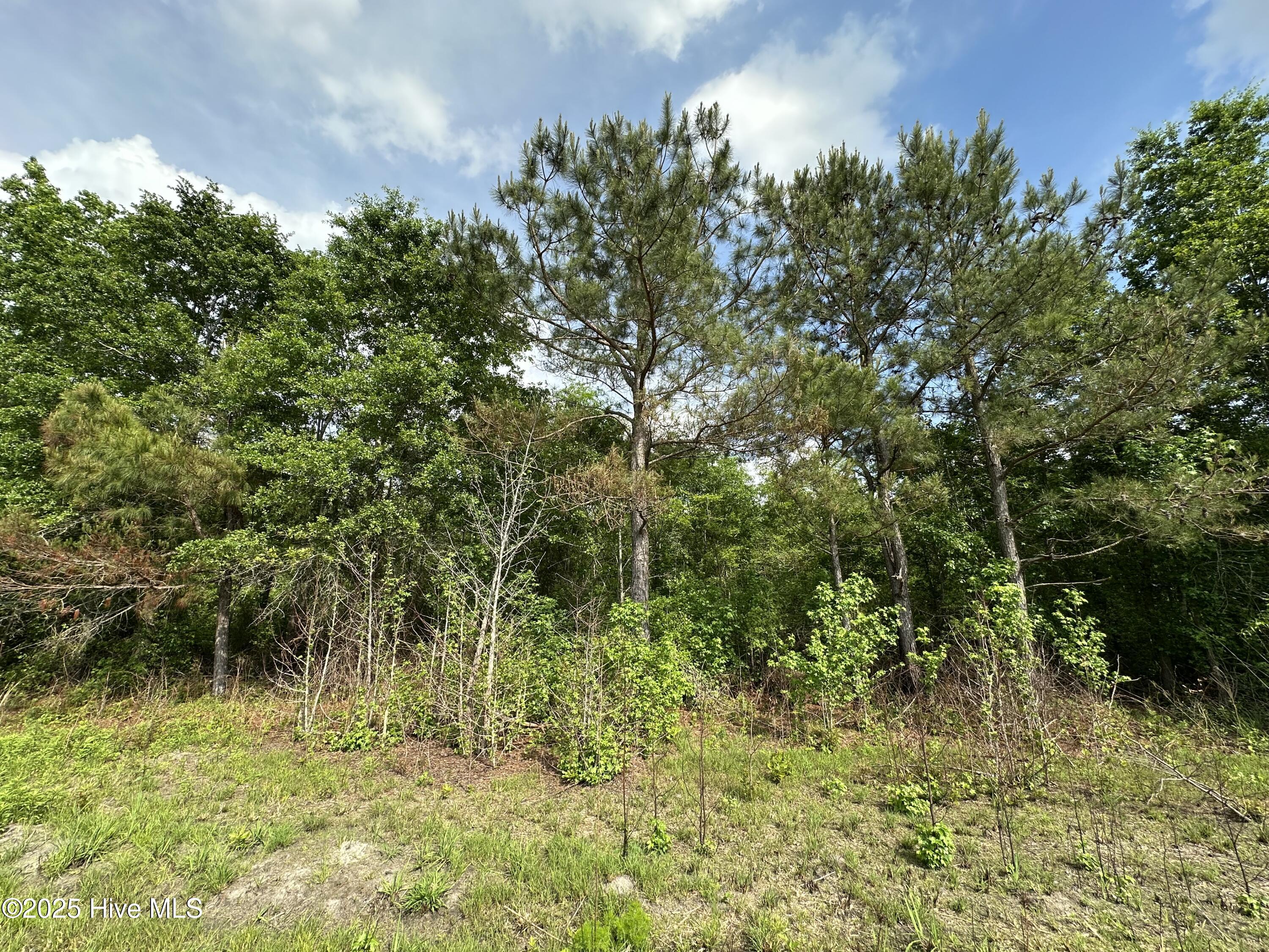 Photo 3 of Land for sale at Tract 2 Mcgirt Rd, Maxton, NC 28364 | MLS# 100601006 | Listing updated on 2026-09-03