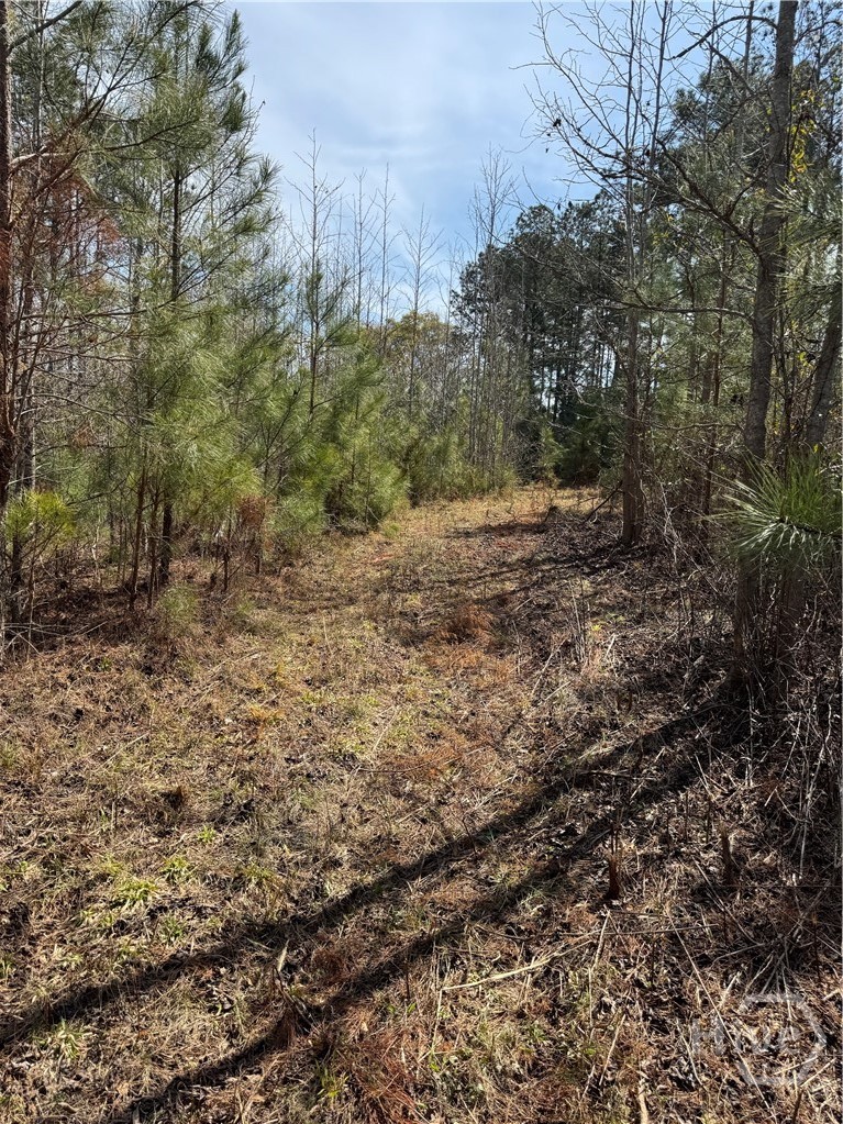 738 Old Mineral Springs Road, Elberton, GA, 30635