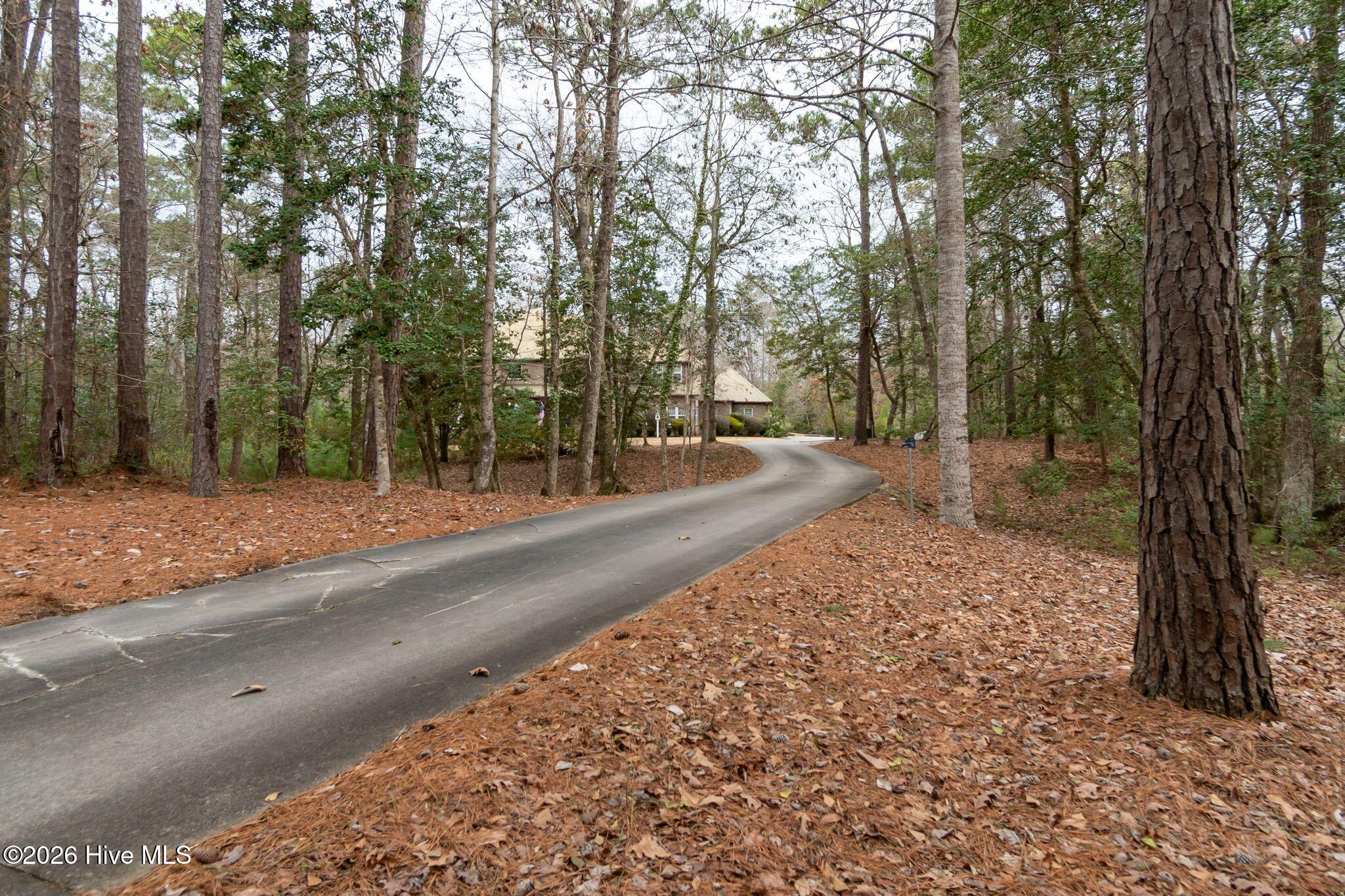 100556327 | Photo 65