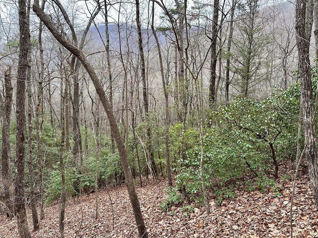 Exterior photo of 15-19 Indian Rock Springs, Murphy, NC 28906. MLS: 98544221
