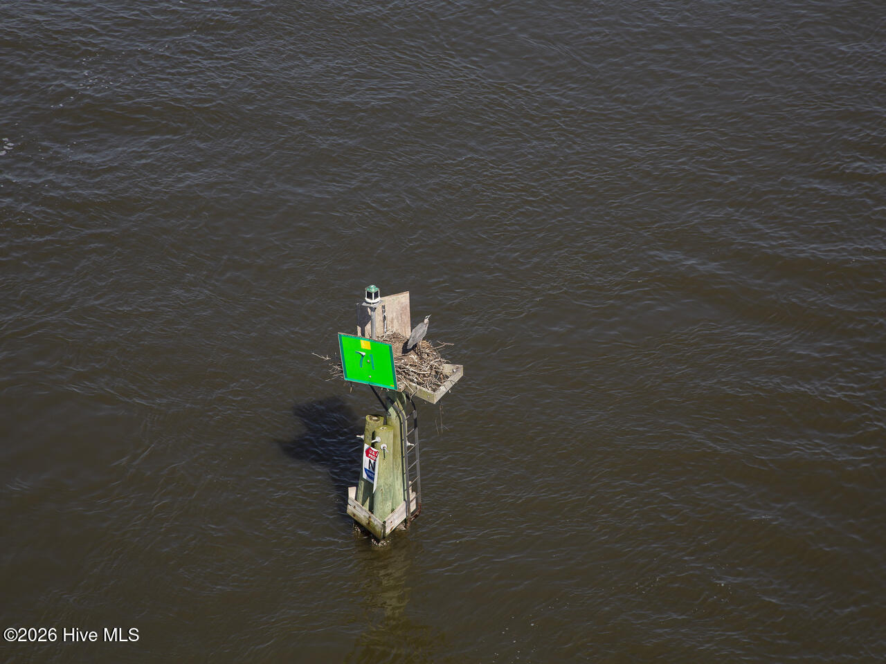 100569733 | Photo 34