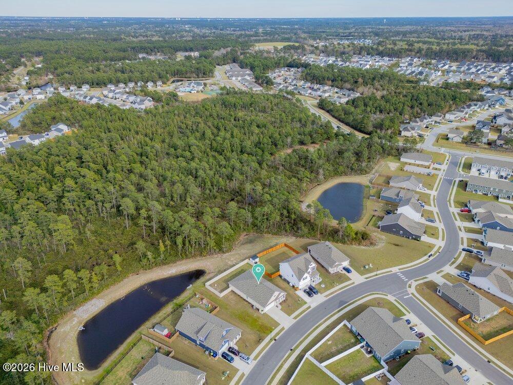 100561956 | Photo 36