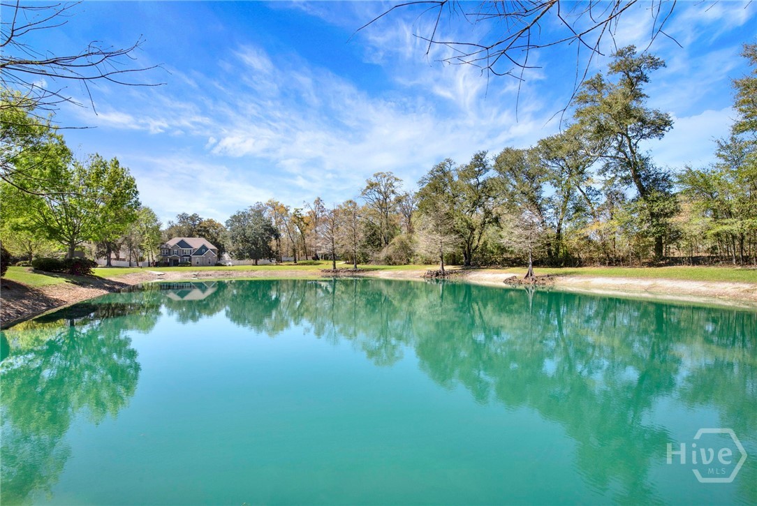 Scenic Pond at Community Entrance
