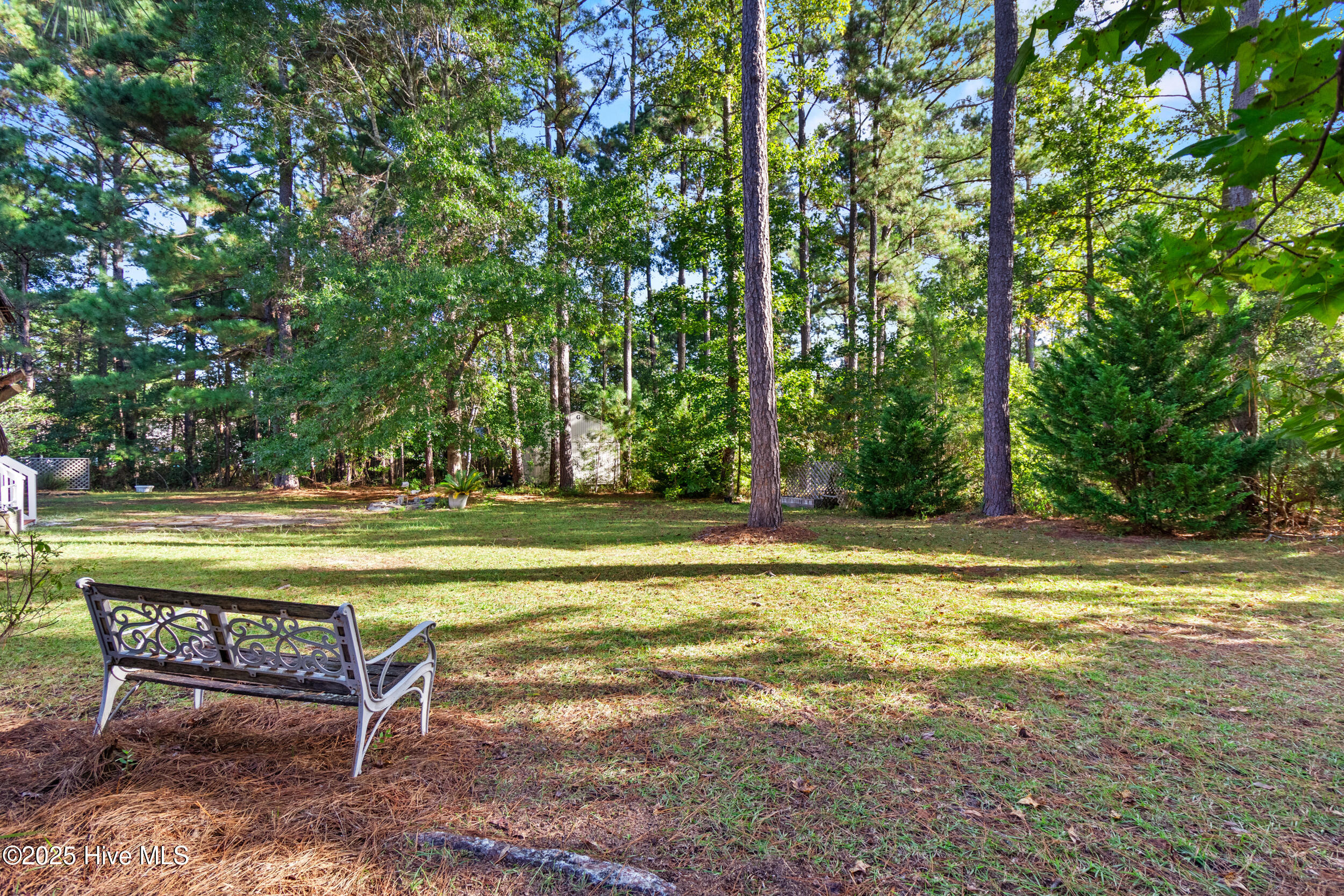 100534384 | Photo 49