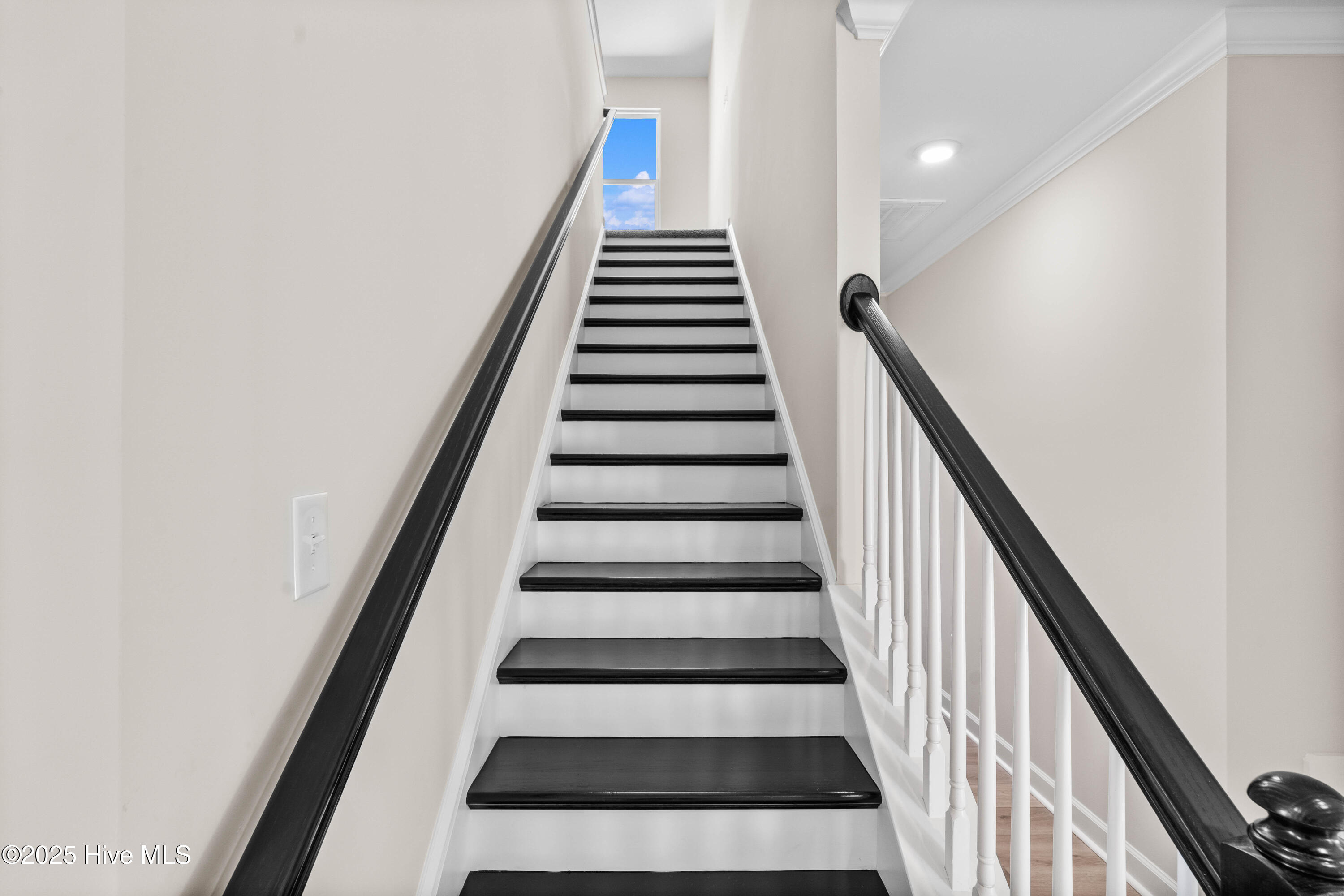 100499667 | Photo 22