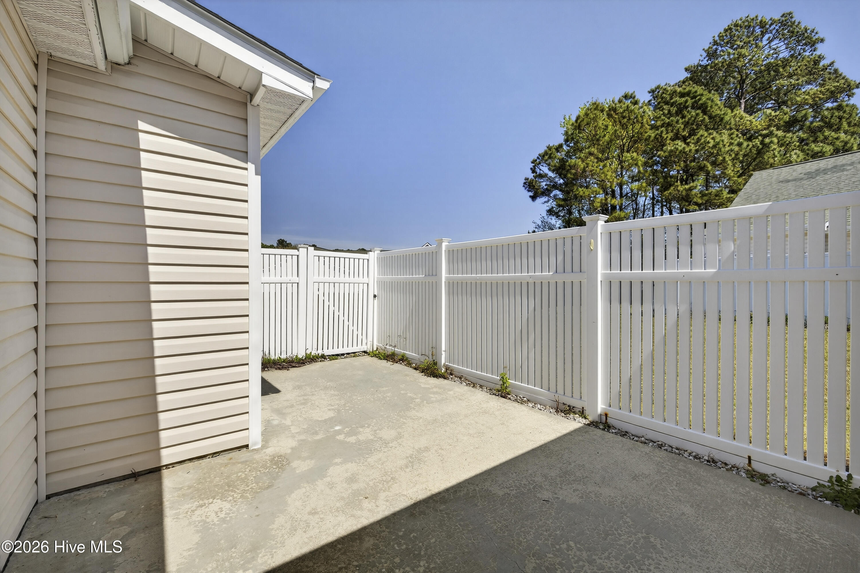 100562348 | Photo 31