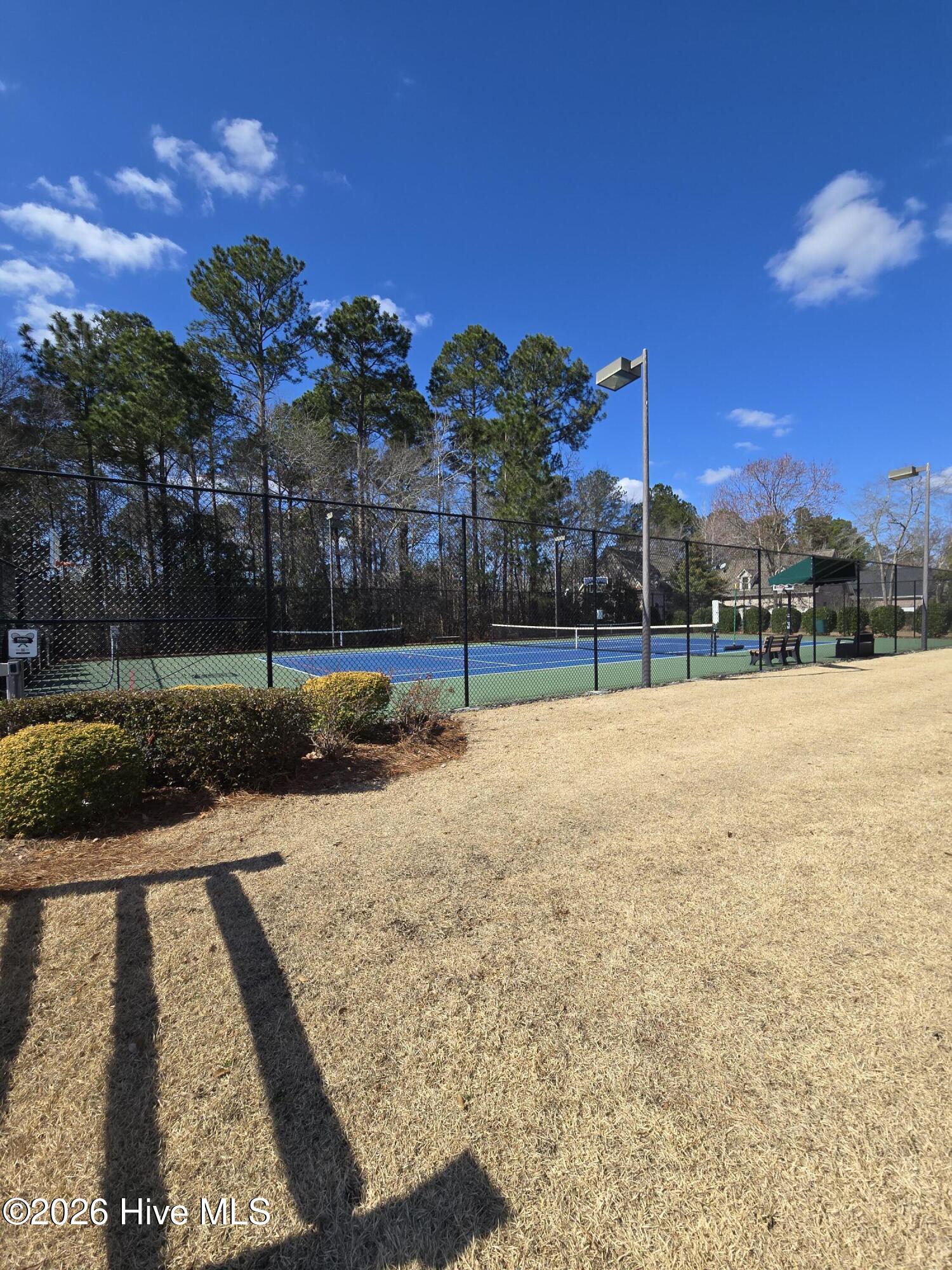 100526978 | Photo 33