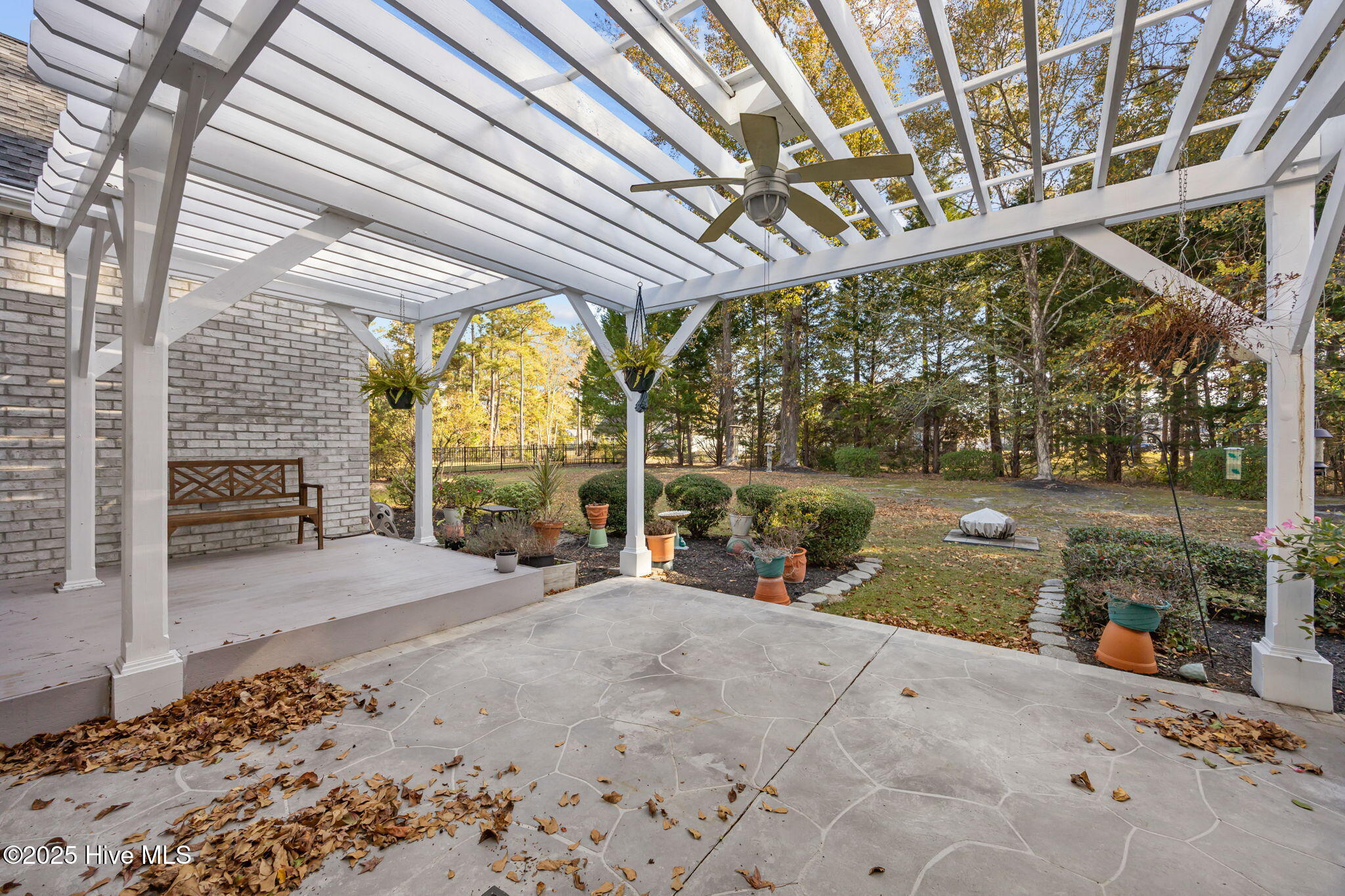 100543036 | Photo 38