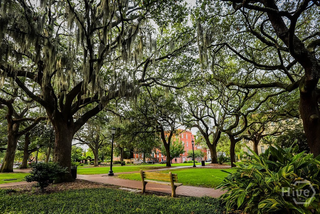 111 Lincoln Street, #1B, Savannah, GA 31401 Listing Photo  47