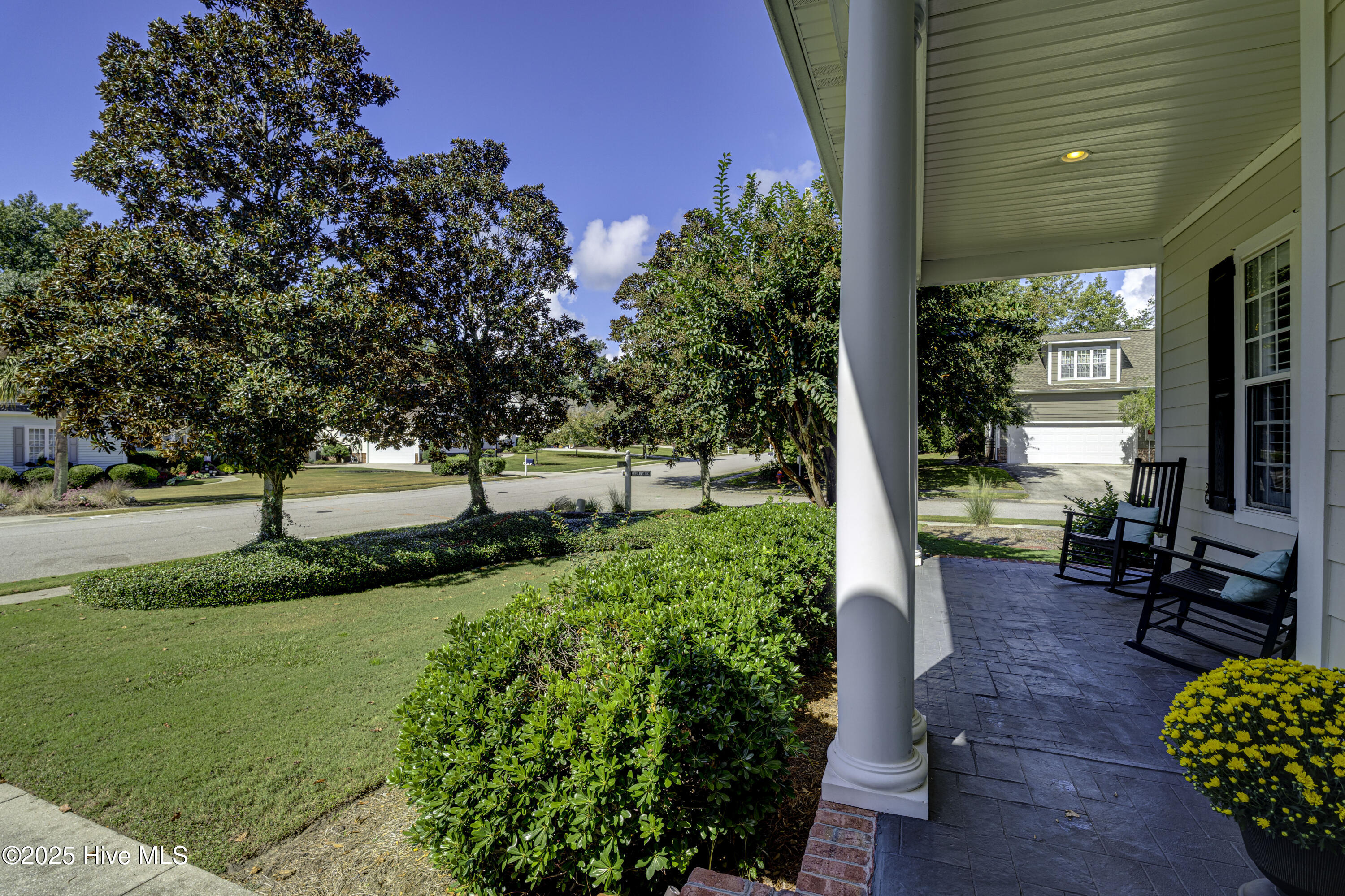 100535158 | Photo 11