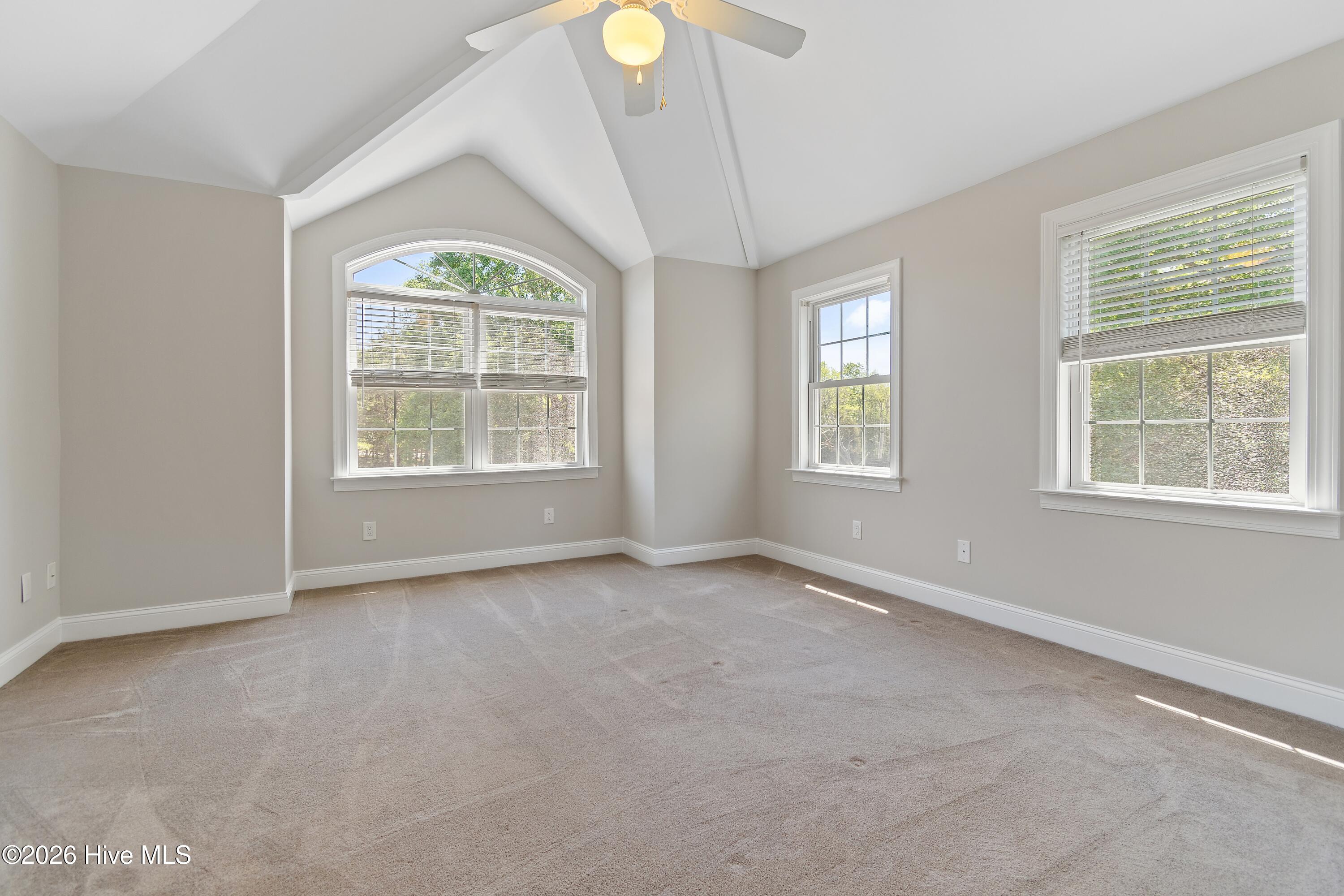 100568662 | Photo 43