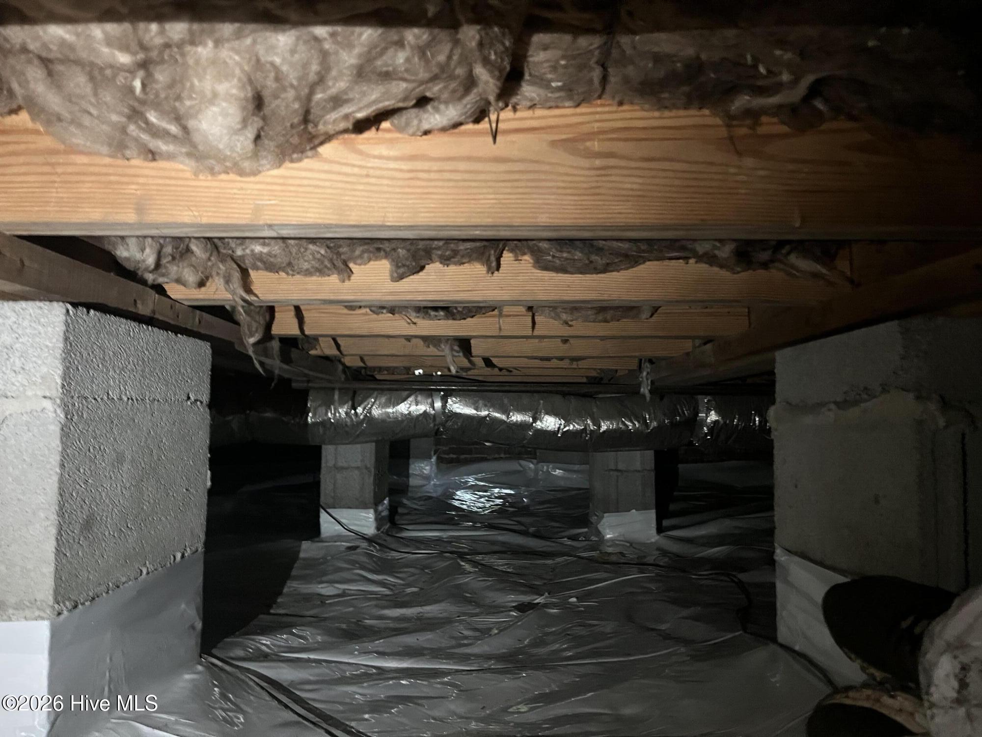 100558316 | Photo 49