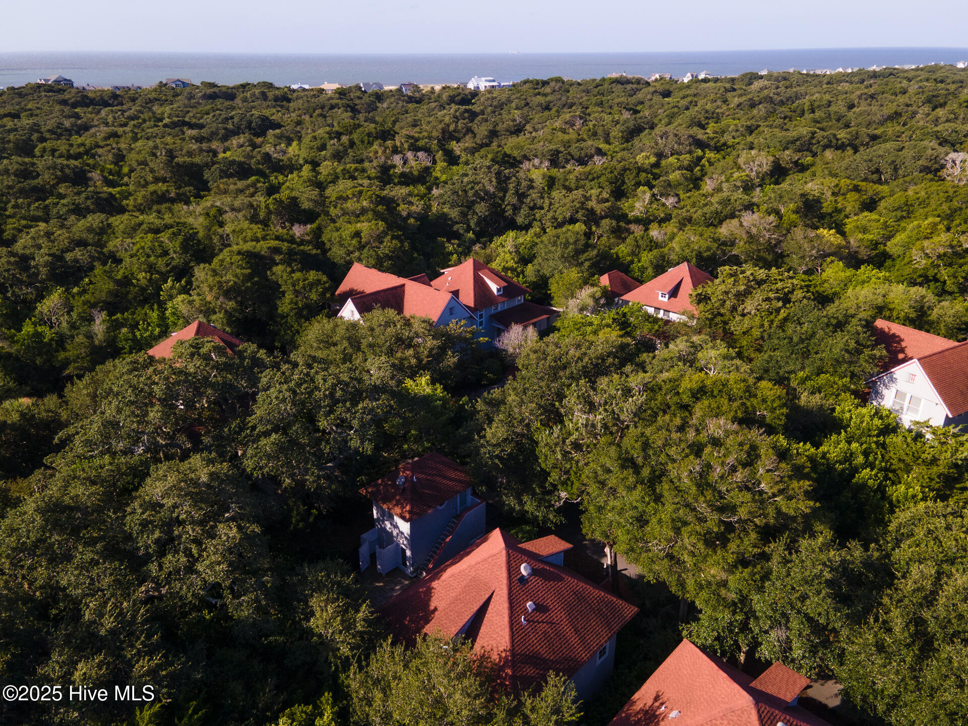 100534470 | Photo 47