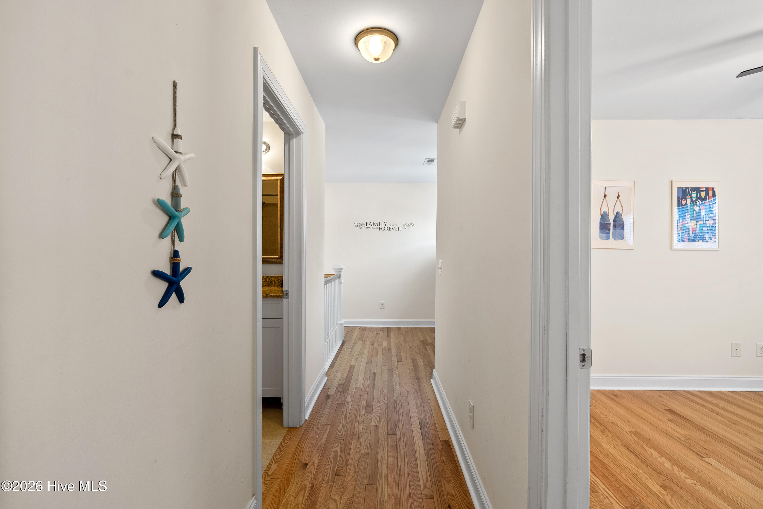 100563119 | Photo 35