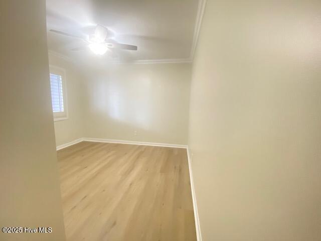 100564428 | Photo 12