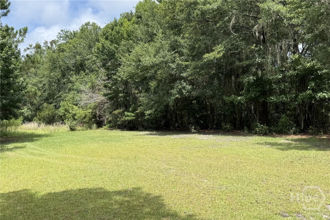 4th image of 1954 Oak Level Rd, Richmond Hill, GA 31324 | MLS# SA362173
