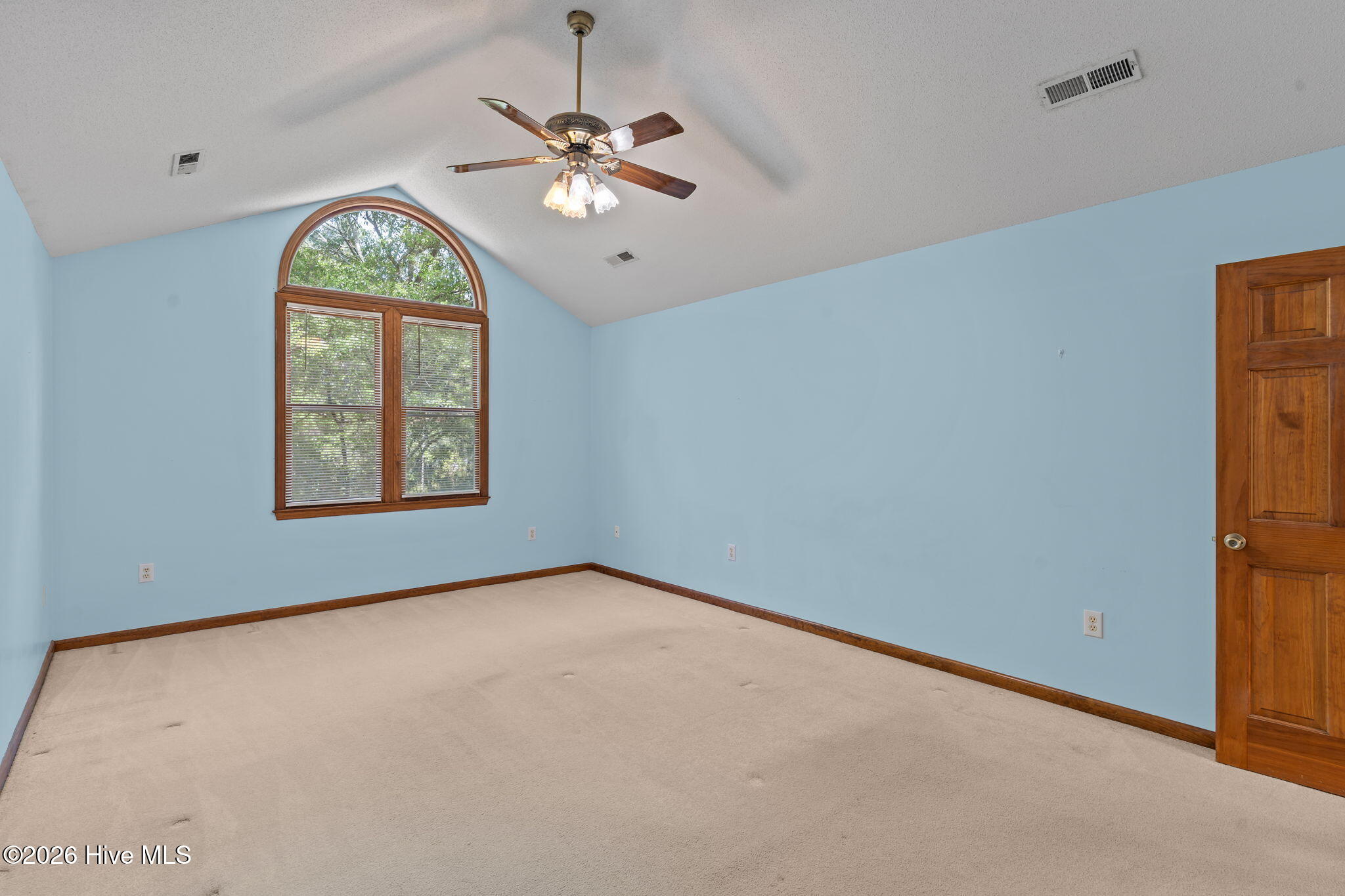 100568125 | Photo 25