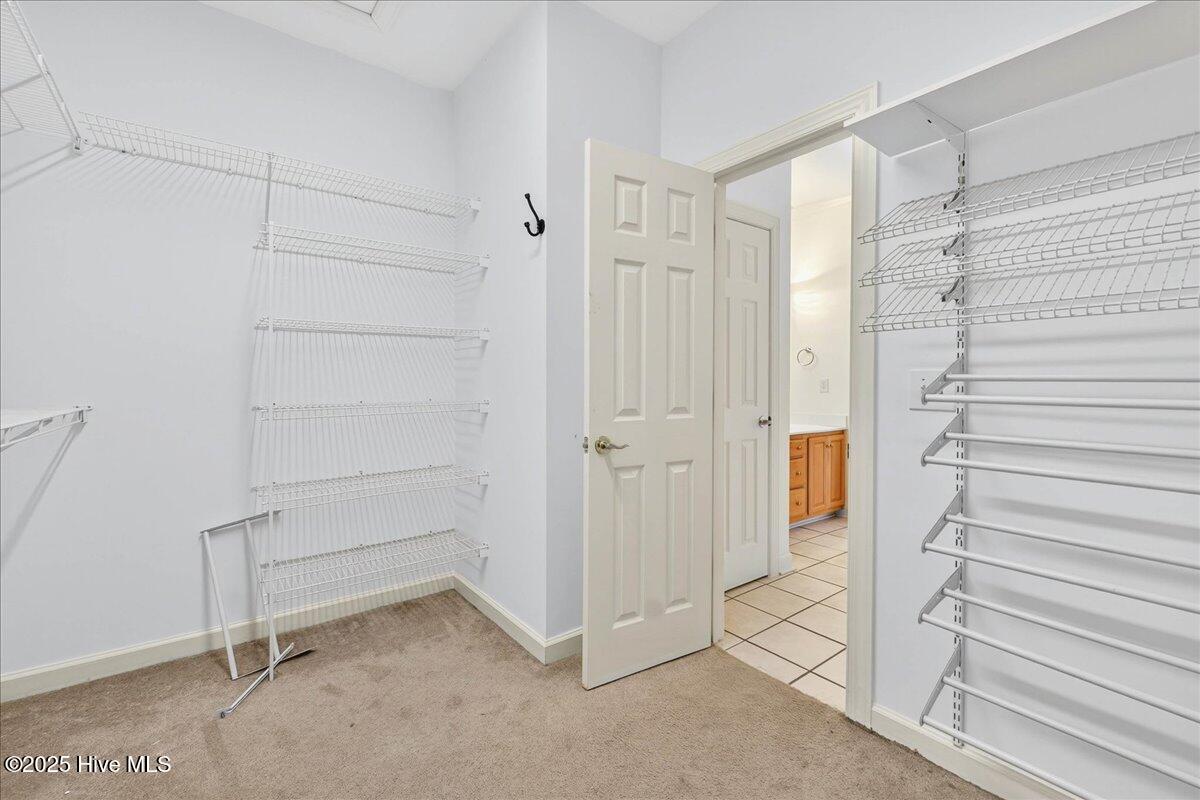 100519877 | Photo 29