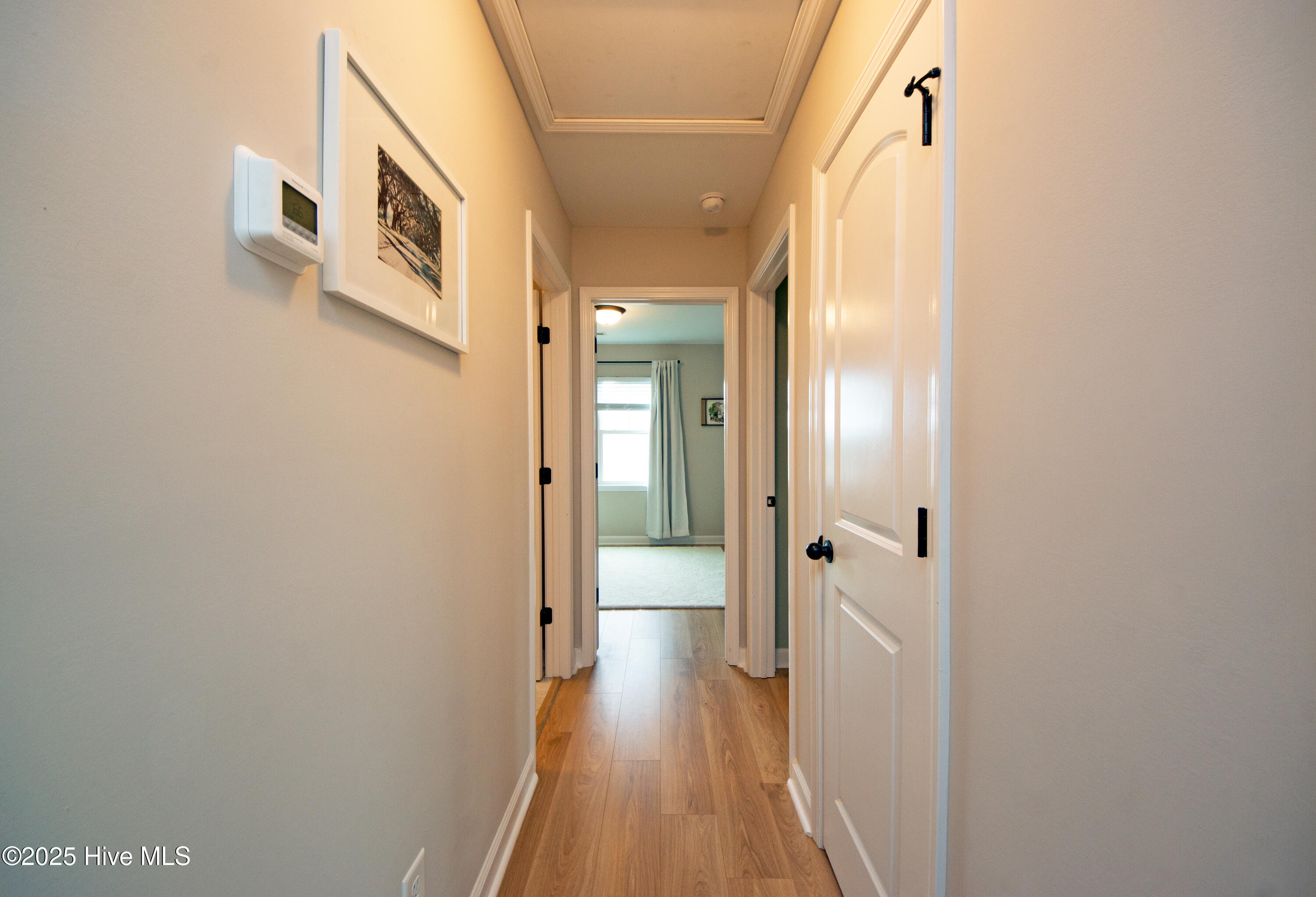 100539129 | Photo 35