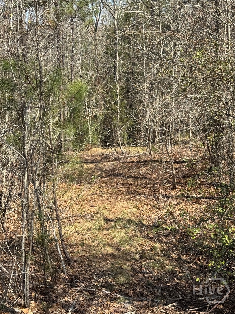 738 Old Mineral Springs Road, Elberton, GA, 30635