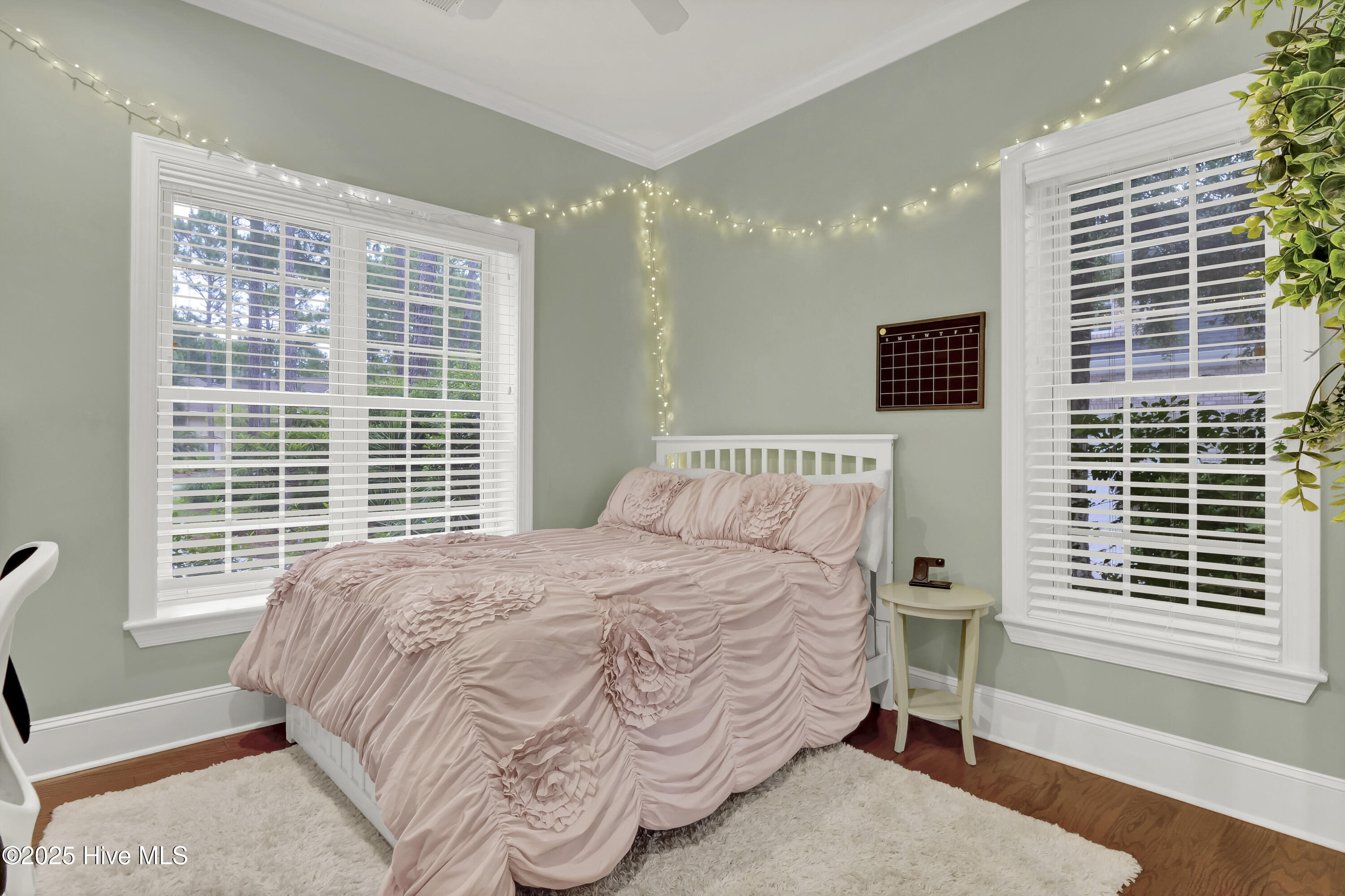 100511674 | Photo 35