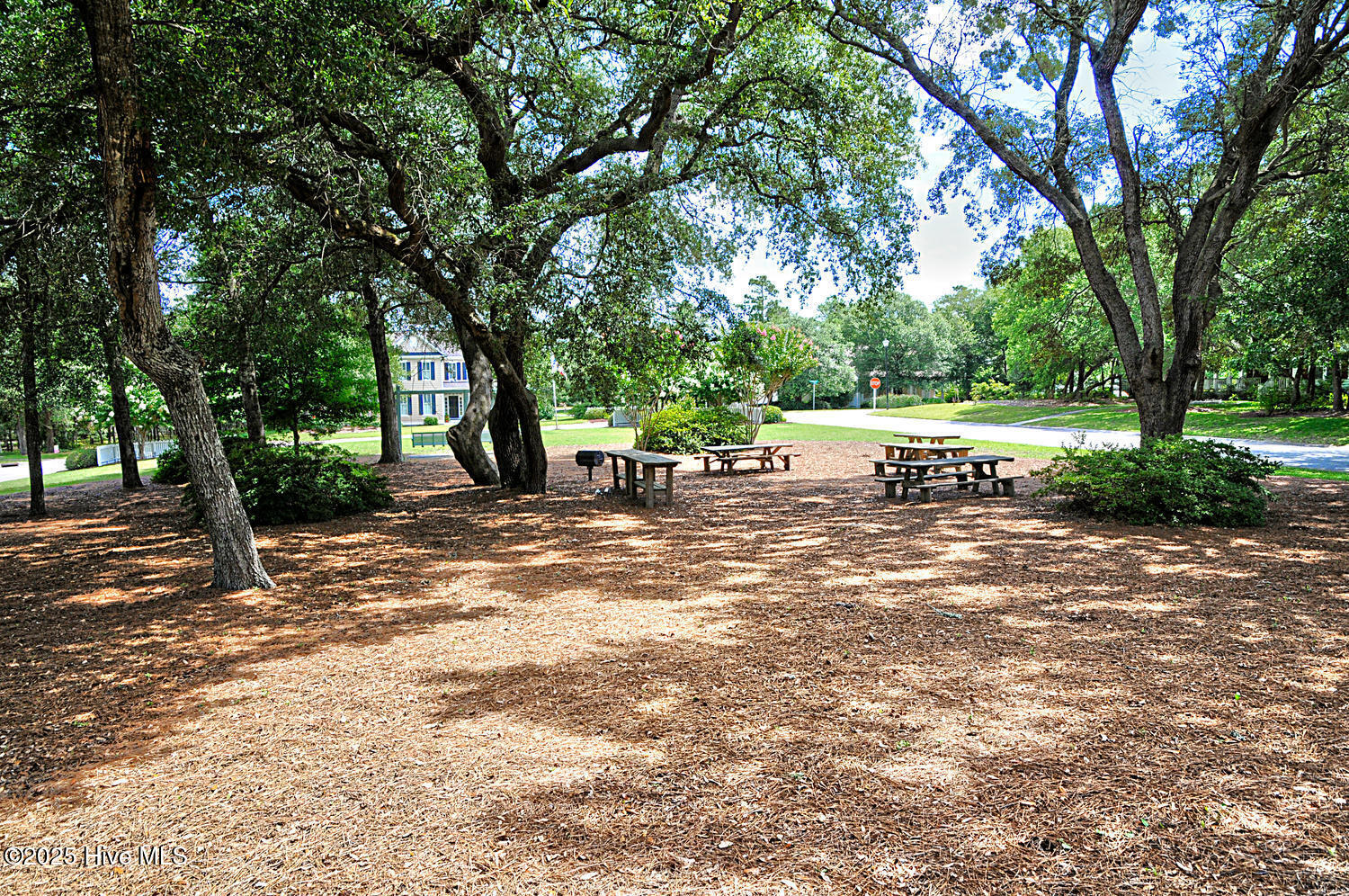 100538166 | Photo 69