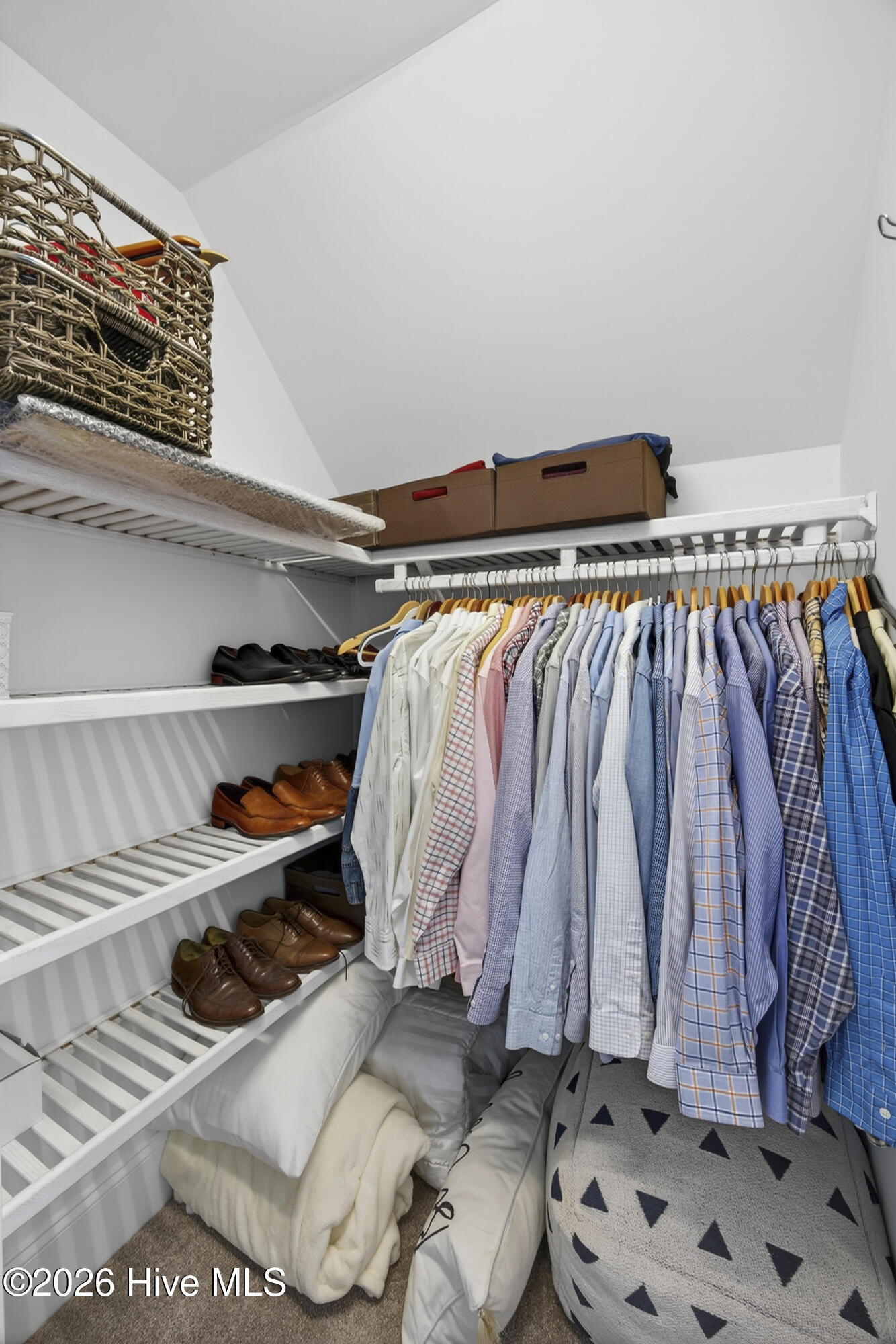 100551678 | Photo 51