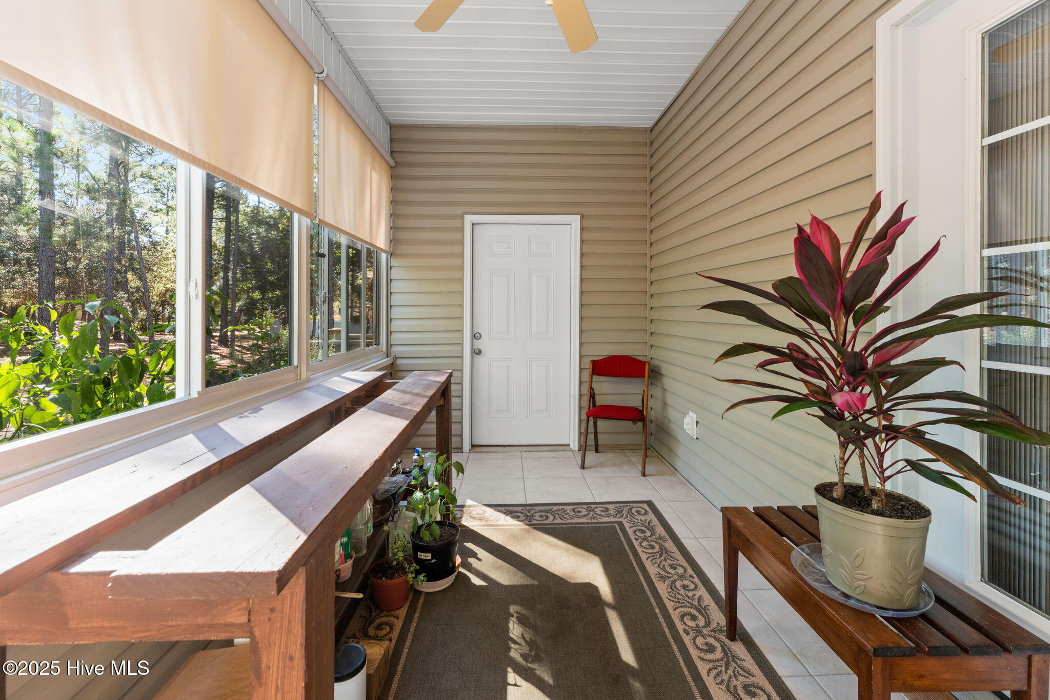 100539831 | Photo 33