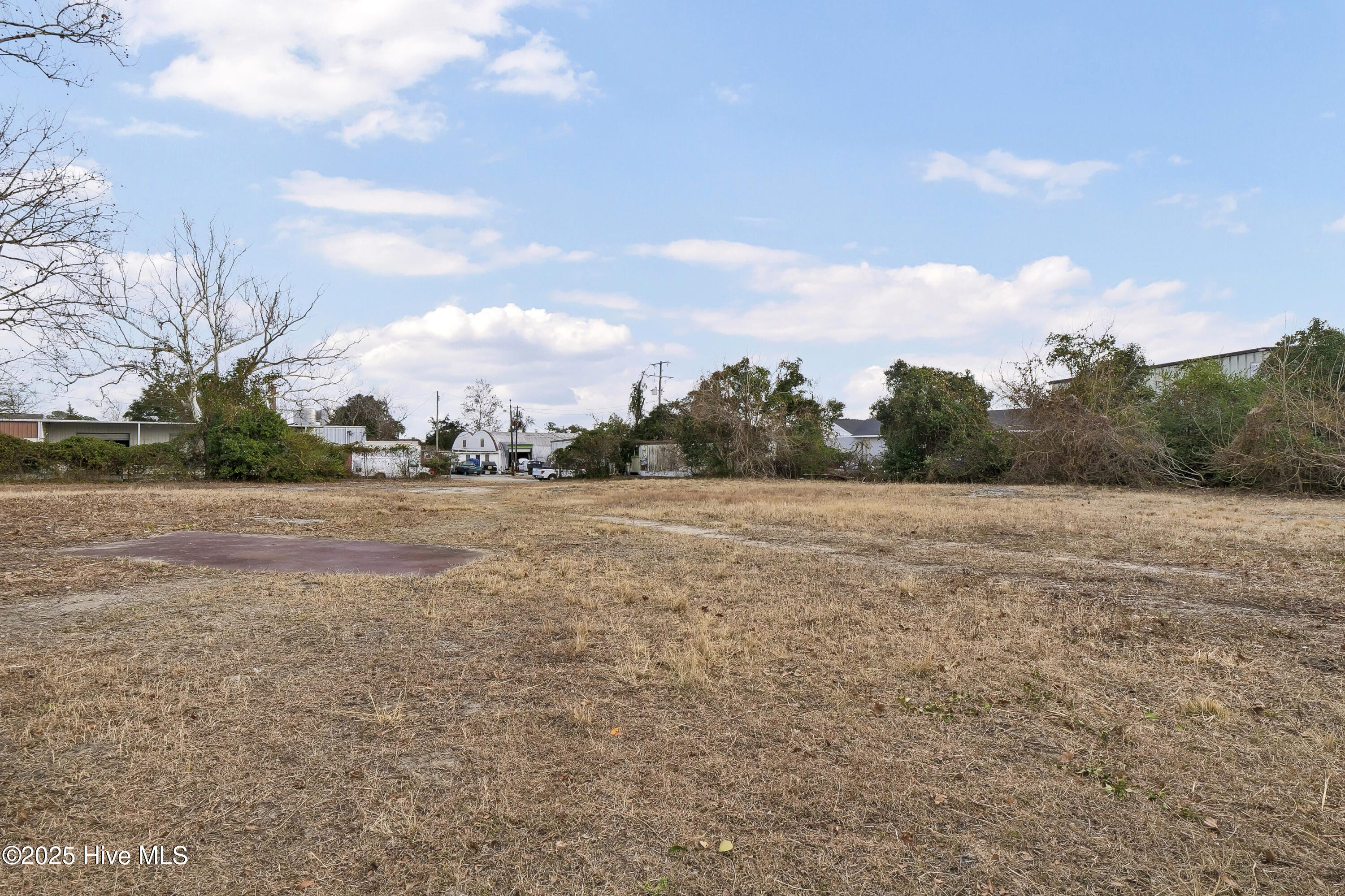 100546015 | Photo 23