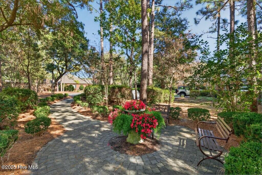 100535369 | Photo 53