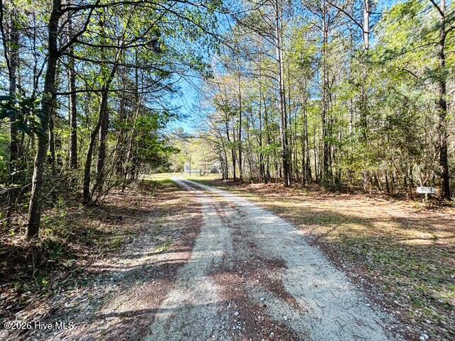 100566420 | Photo 10