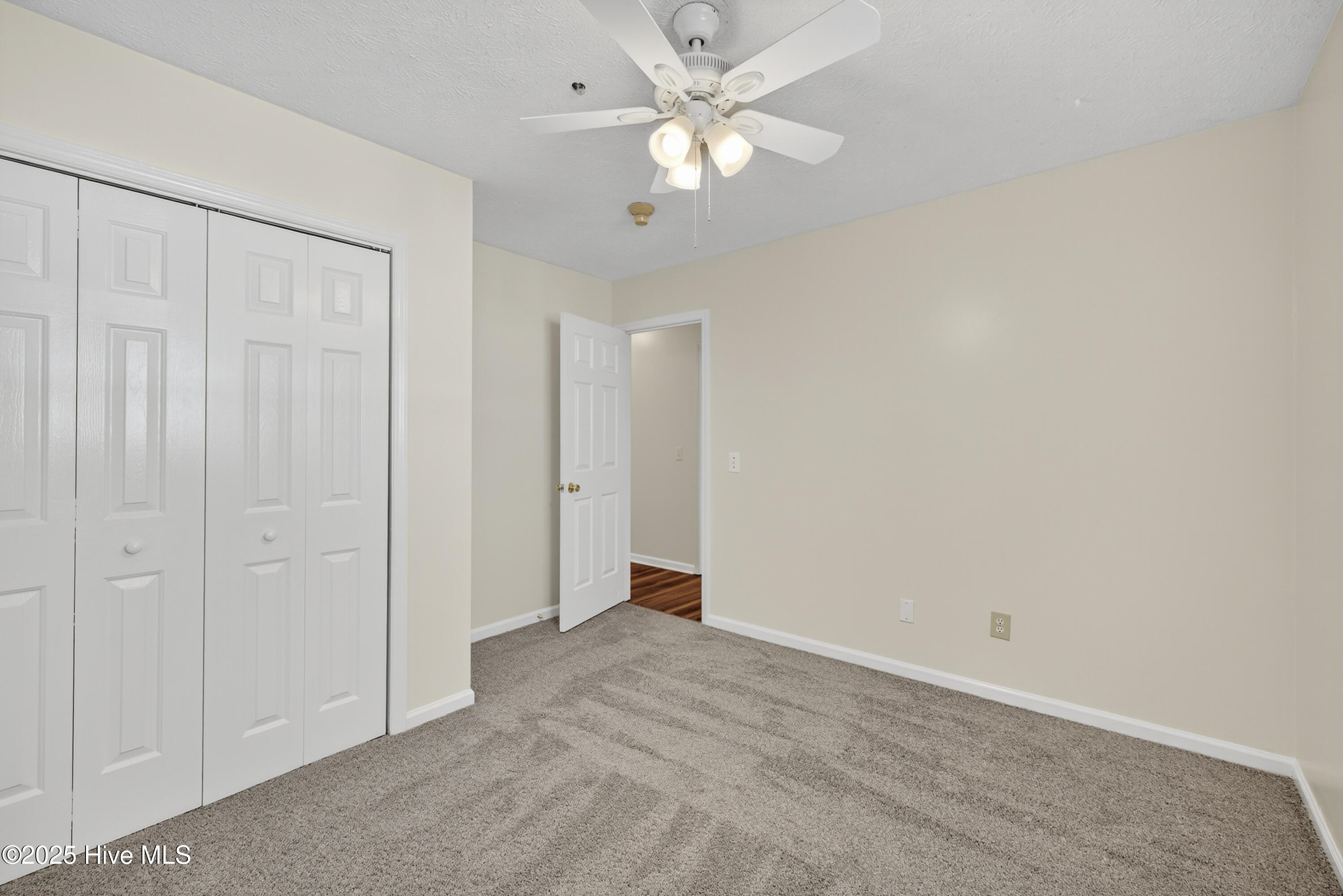 100541099 | Photo 16