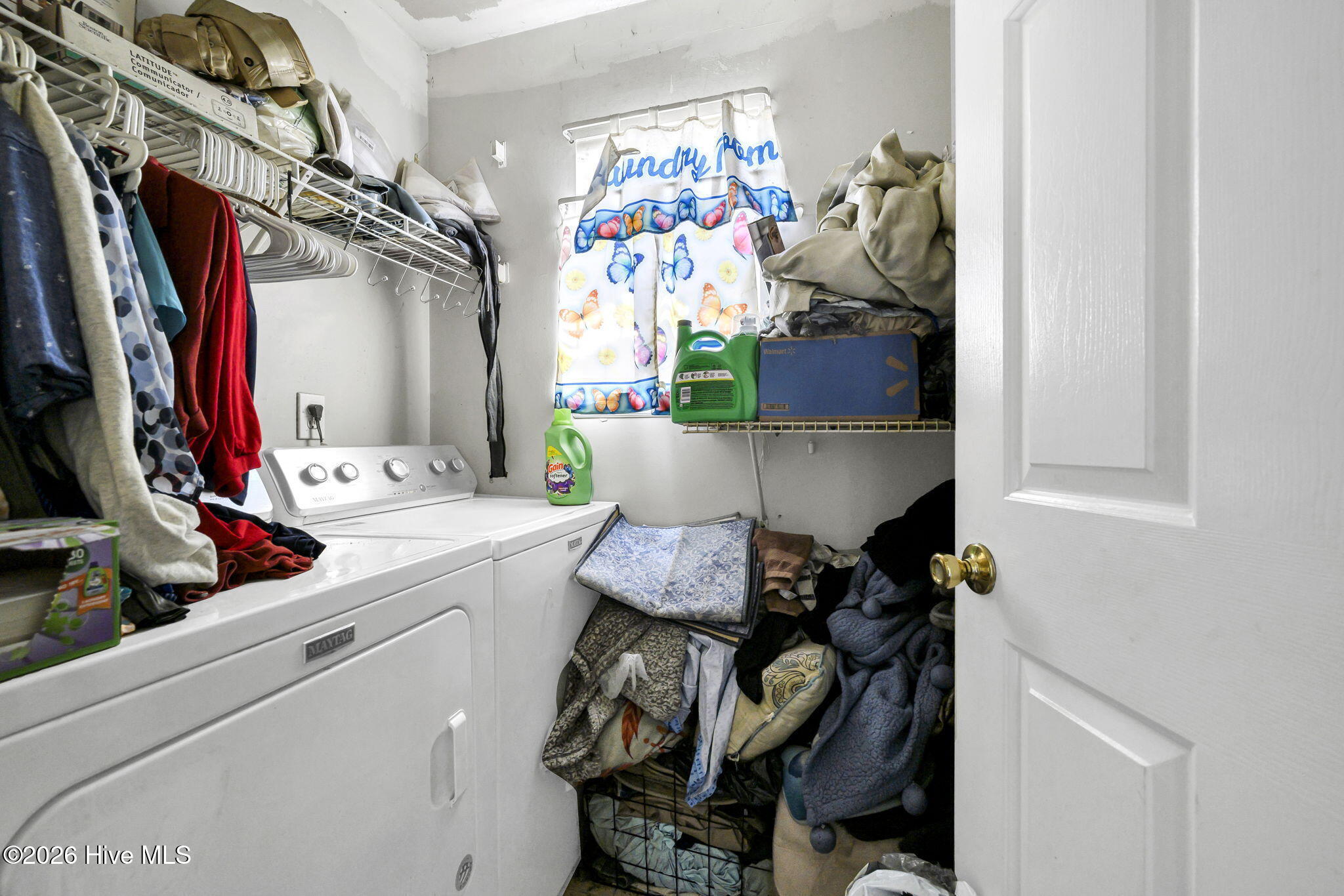 100570631 | Photo 19