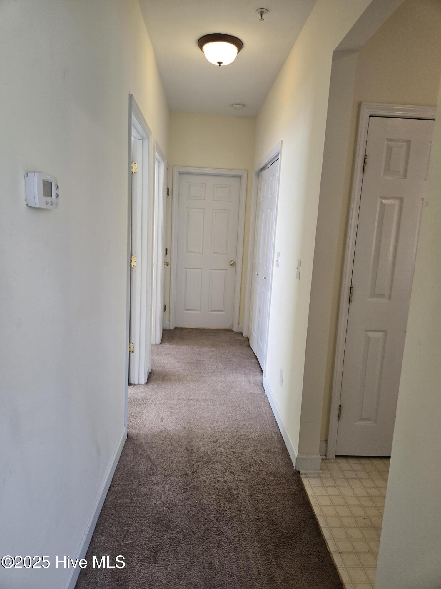 100538006 | Photo 15