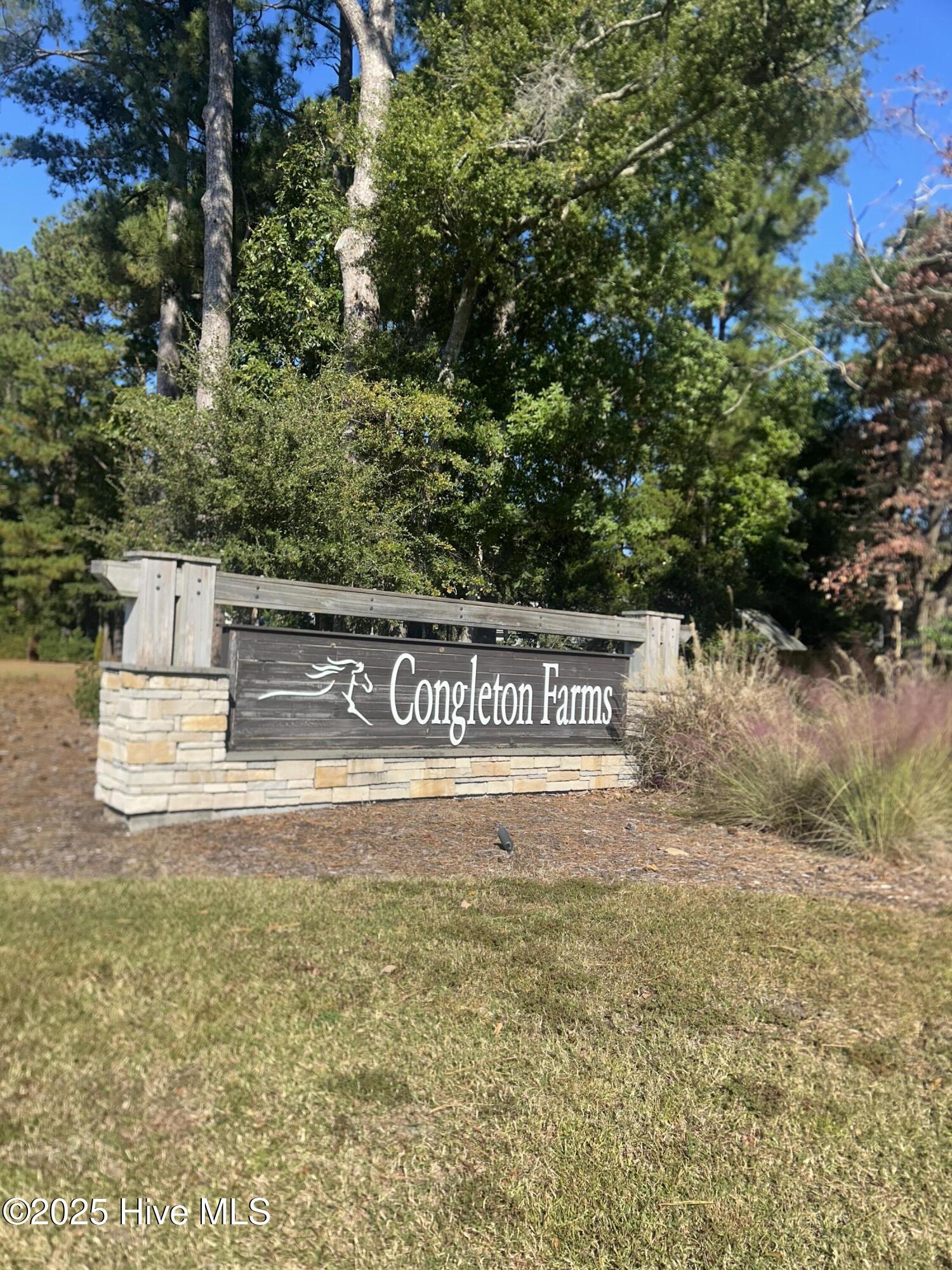 100542295 | Photo 47