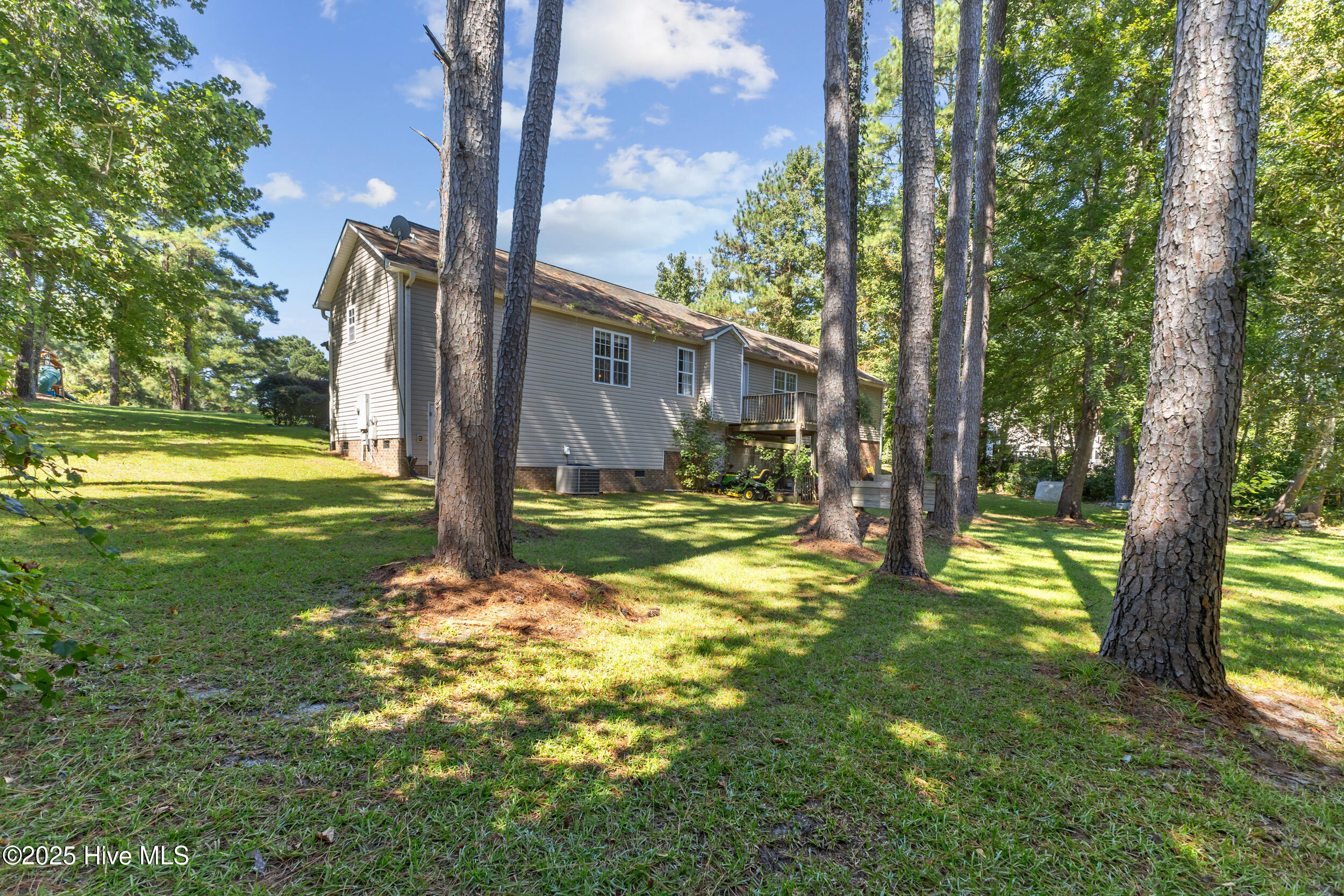 102 Lunington Mill Circle, Burgaw, NC 28425 – photo 24: Back Yard