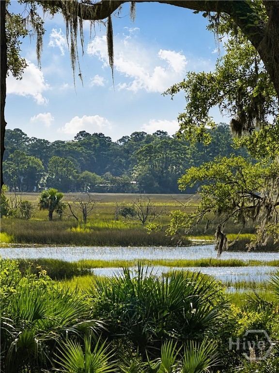 Tidal Creek
