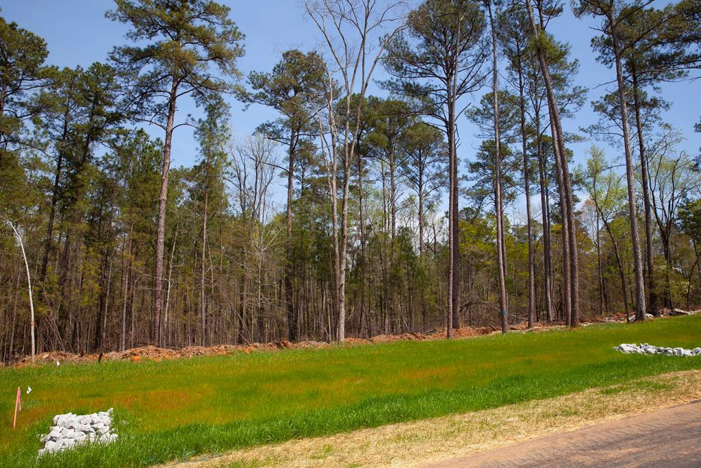 835 Little River Lane, Appling, GA 30802 Listing Photo  1
