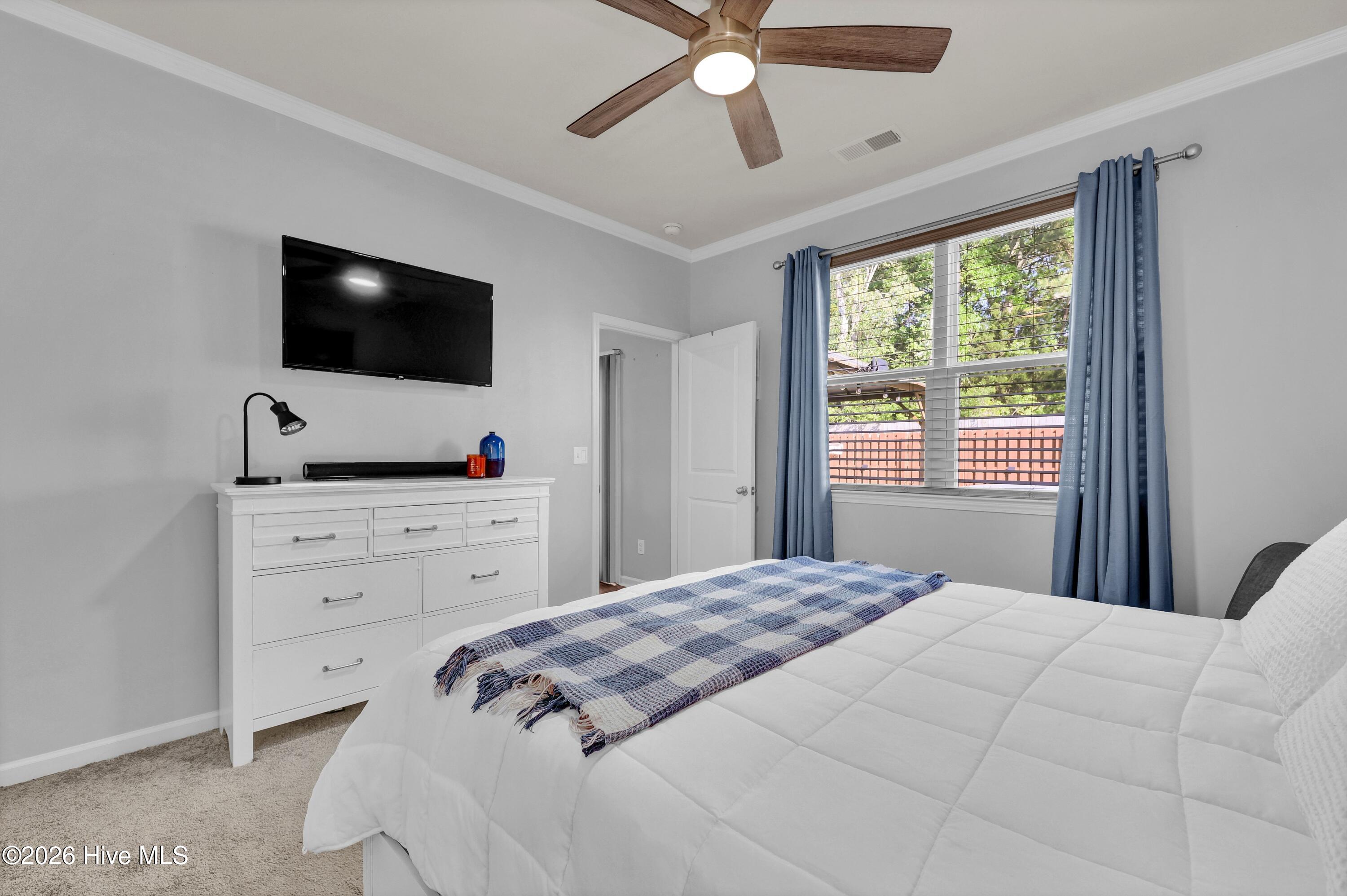 100567847 | Photo 14