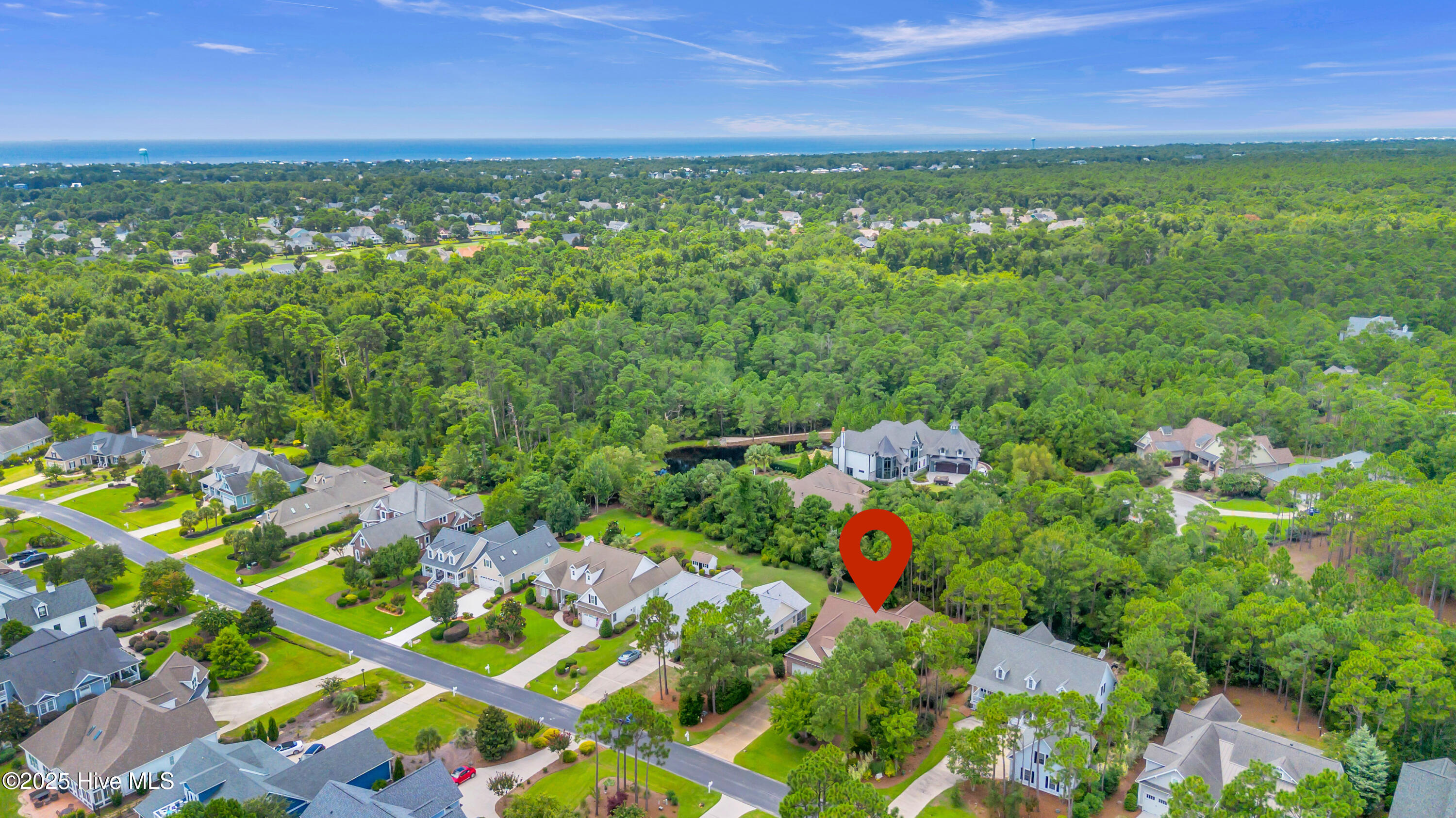 100523896 | Photo 49