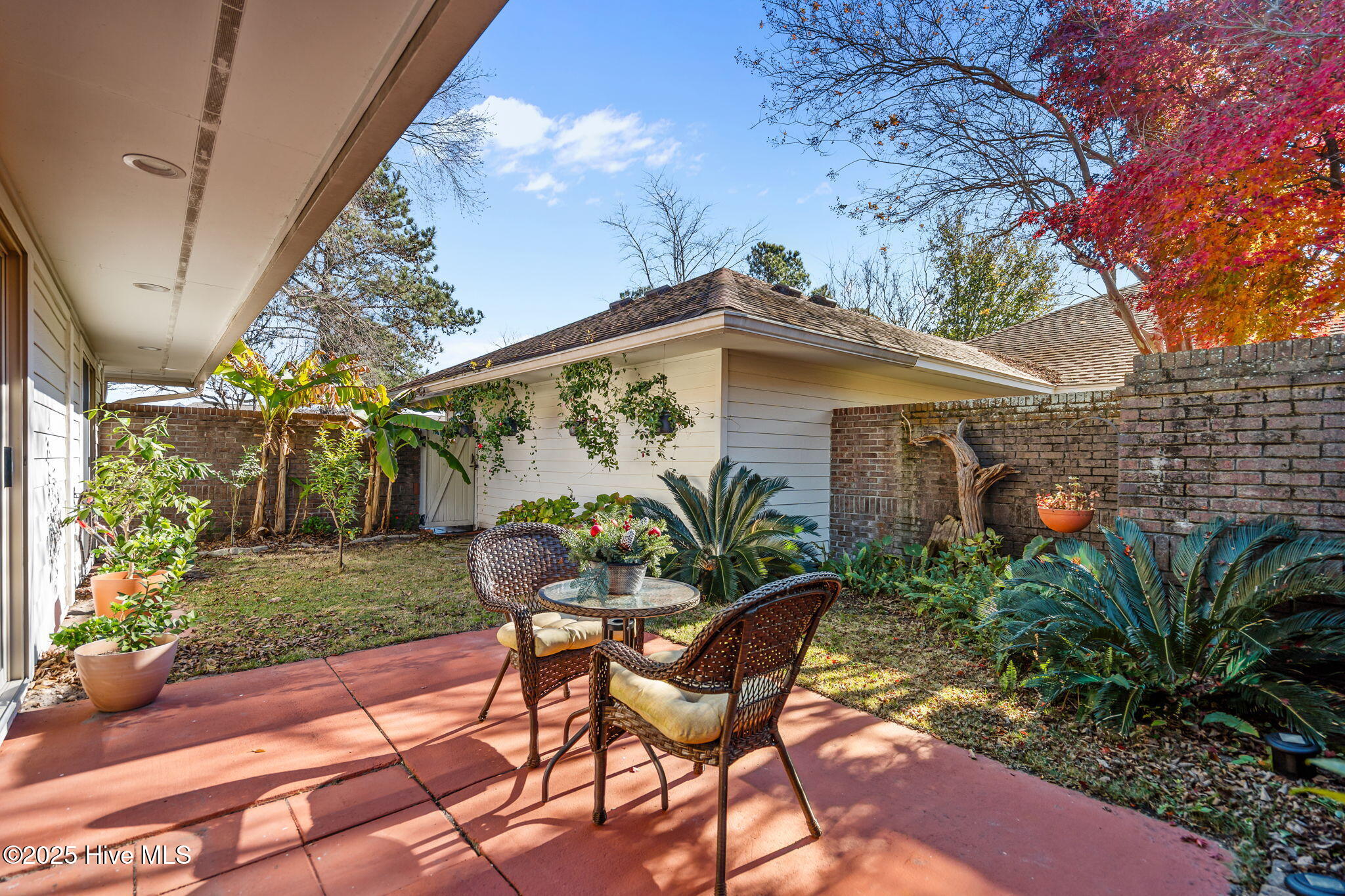 100544988 | Photo 21