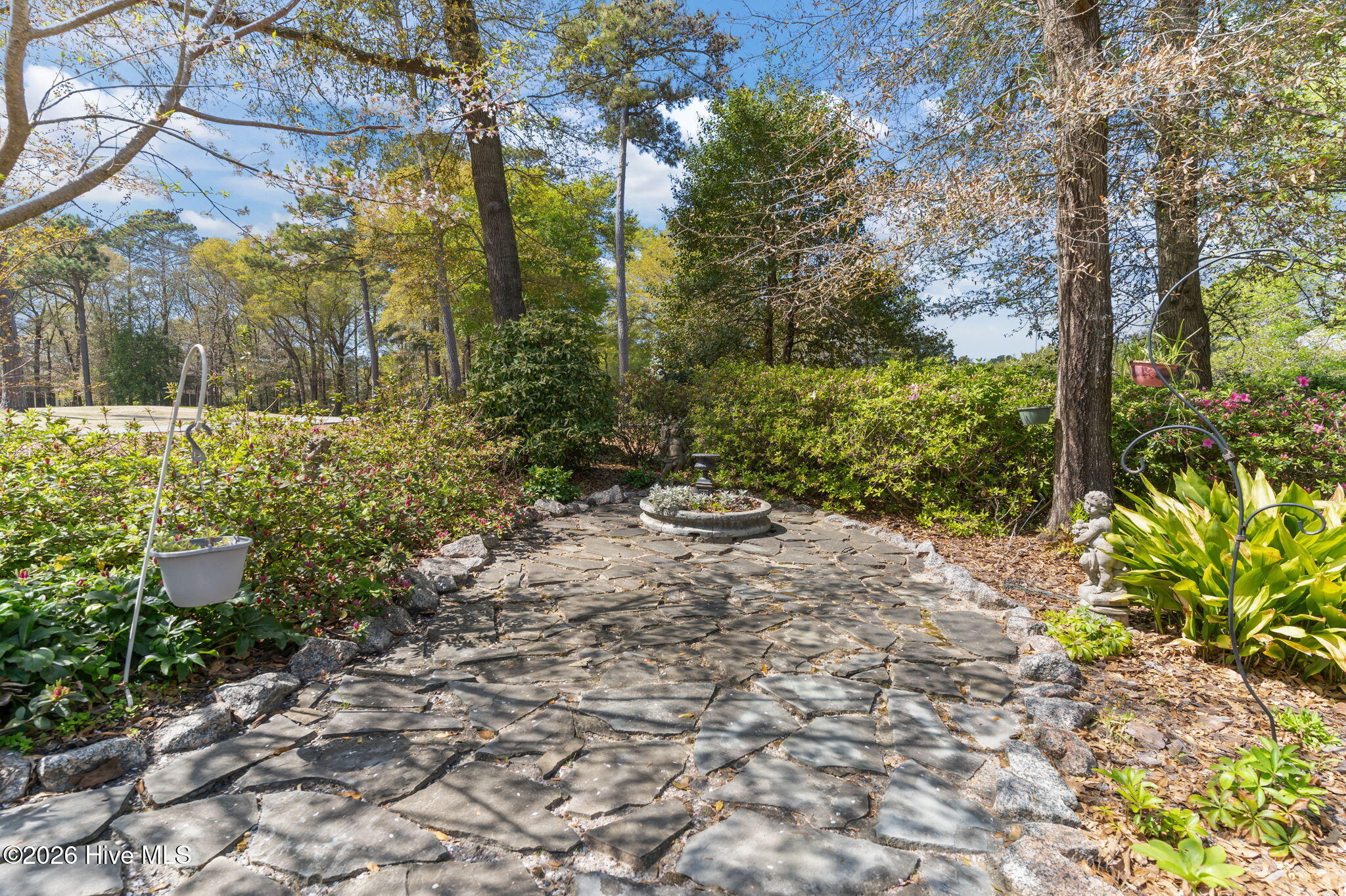 100564418 | Photo 47