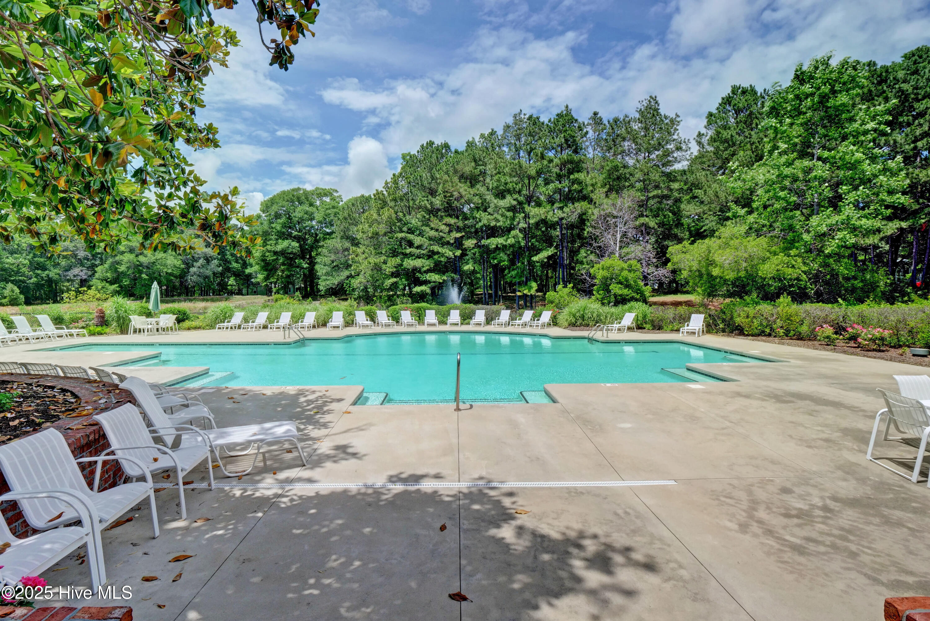 100517426 | Photo 63